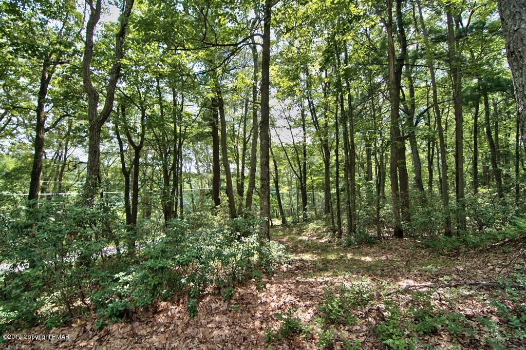 342 Summit Road Swiftwater, PA 18370 - Photo 51 of 53 a view of outdoor space and green space