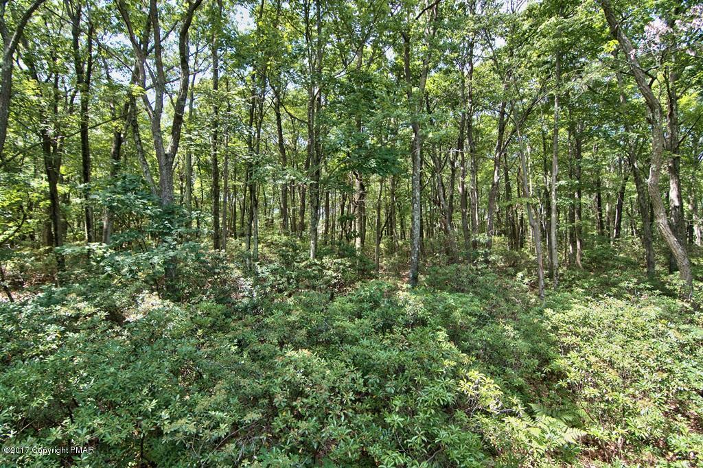 342 Summit Road Swiftwater, PA 18370 - Photo 52 of 53 a view of a lush green forest