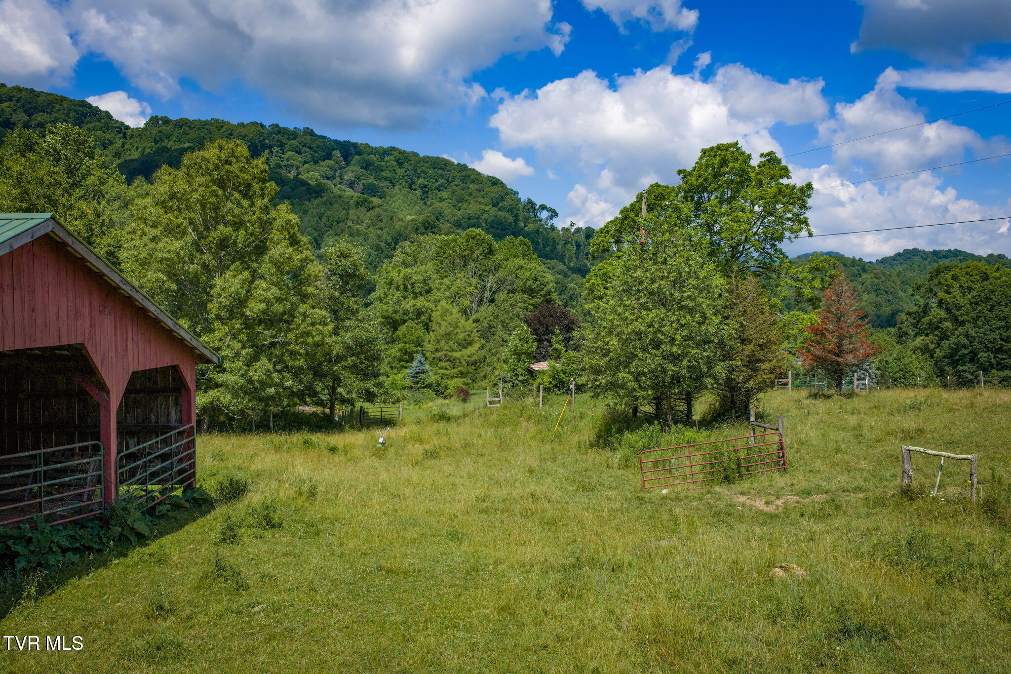 120 Teaberry Road Roan Mountain, TN 37687 - Photo 33 of 56 32-web-or-mls-DJI_20260612112629_0277_D