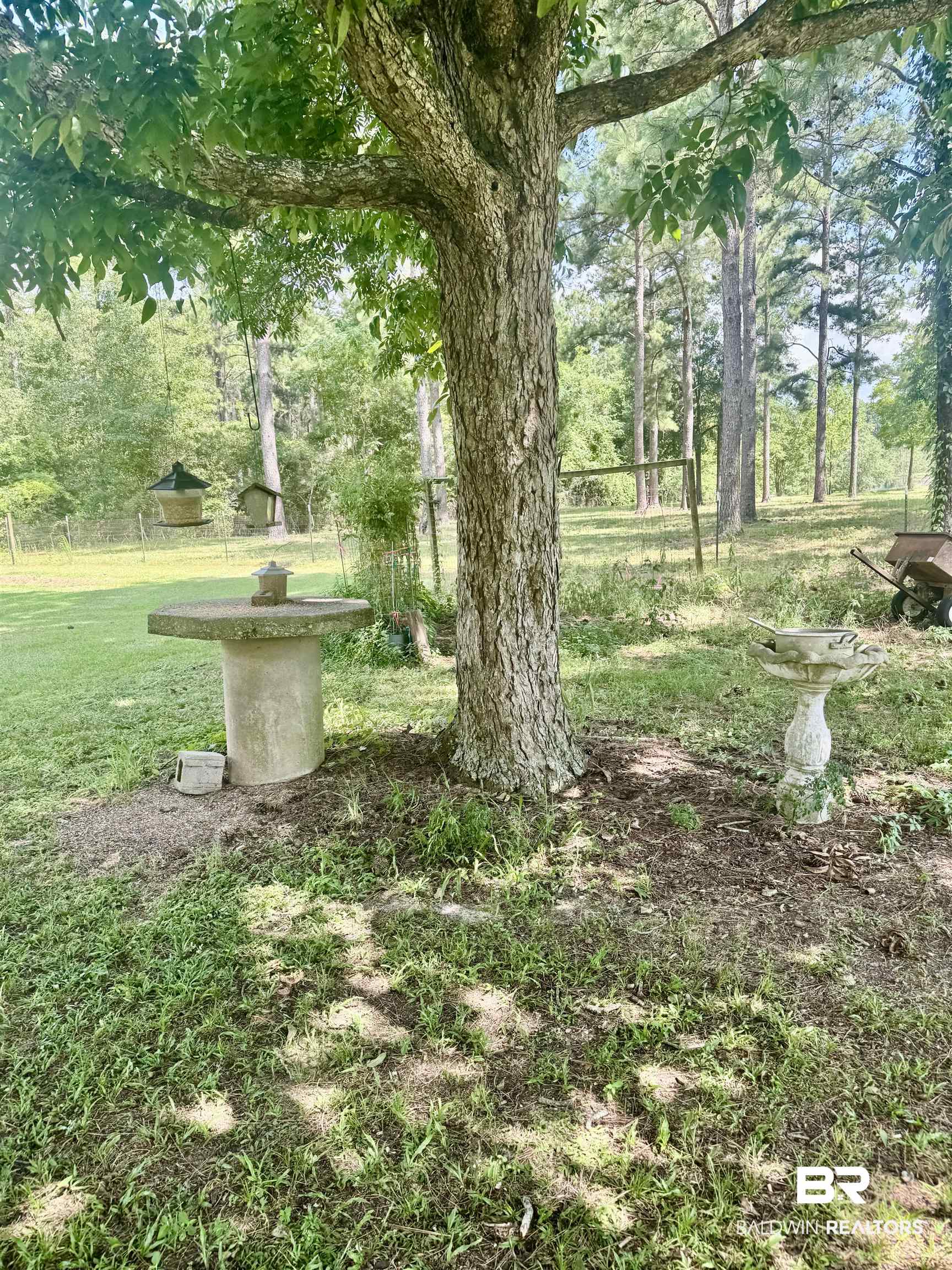 12092 Gantt Red Level Road Andalusia, AL 36421 - Photo 12 of 33