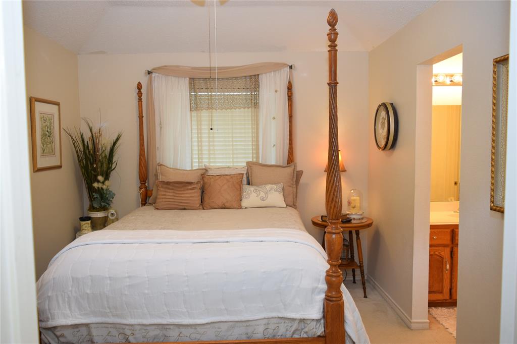 4201 Glistening Spring Rowlett, TX 75088 - Photo 19 of 33 Bedroom featuring soft cream-colored walls and carpet flooring