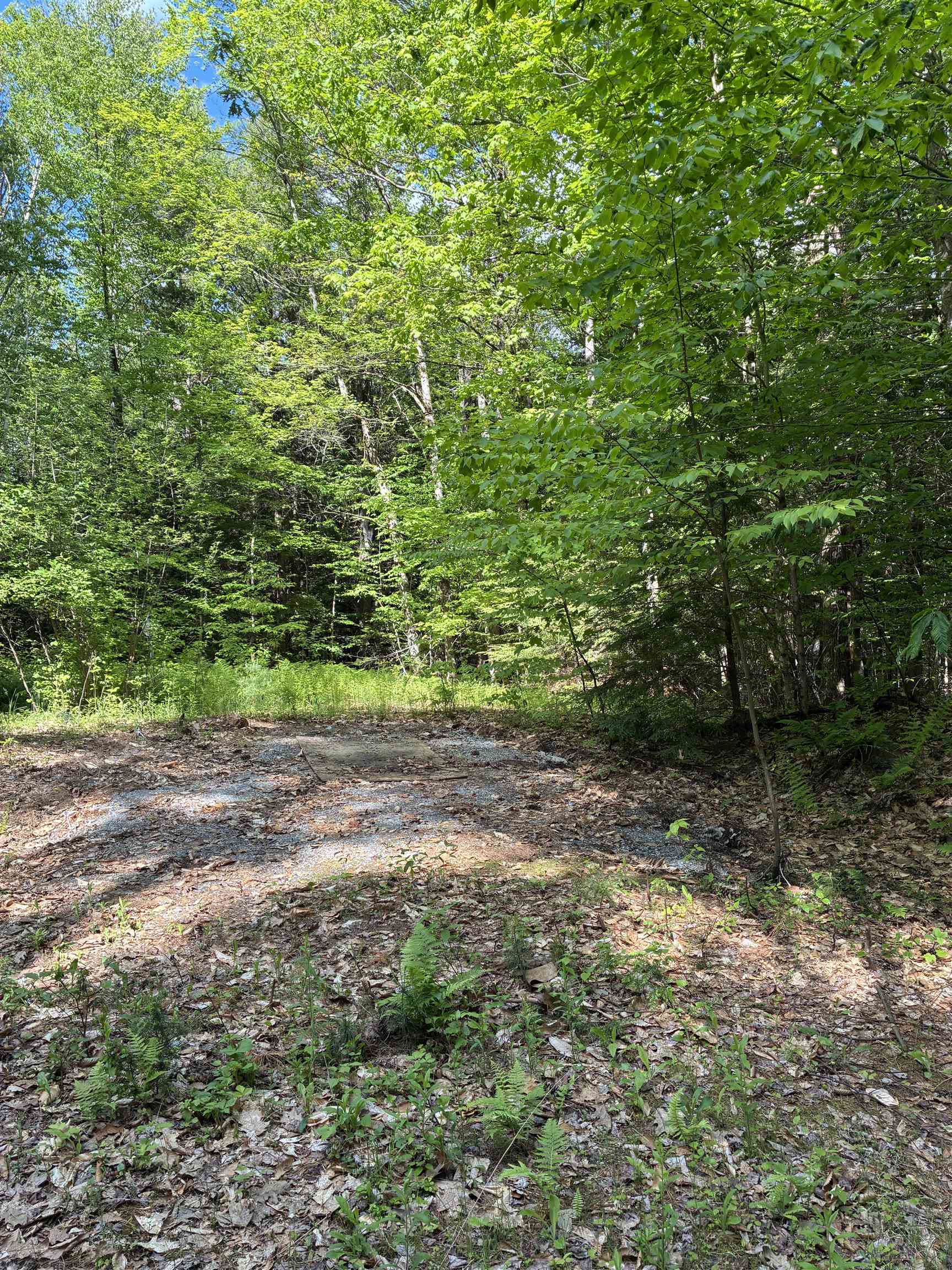 224 Forest Road Hancock, NH 03449 - Photo 14 of 15 Gallery Image 14