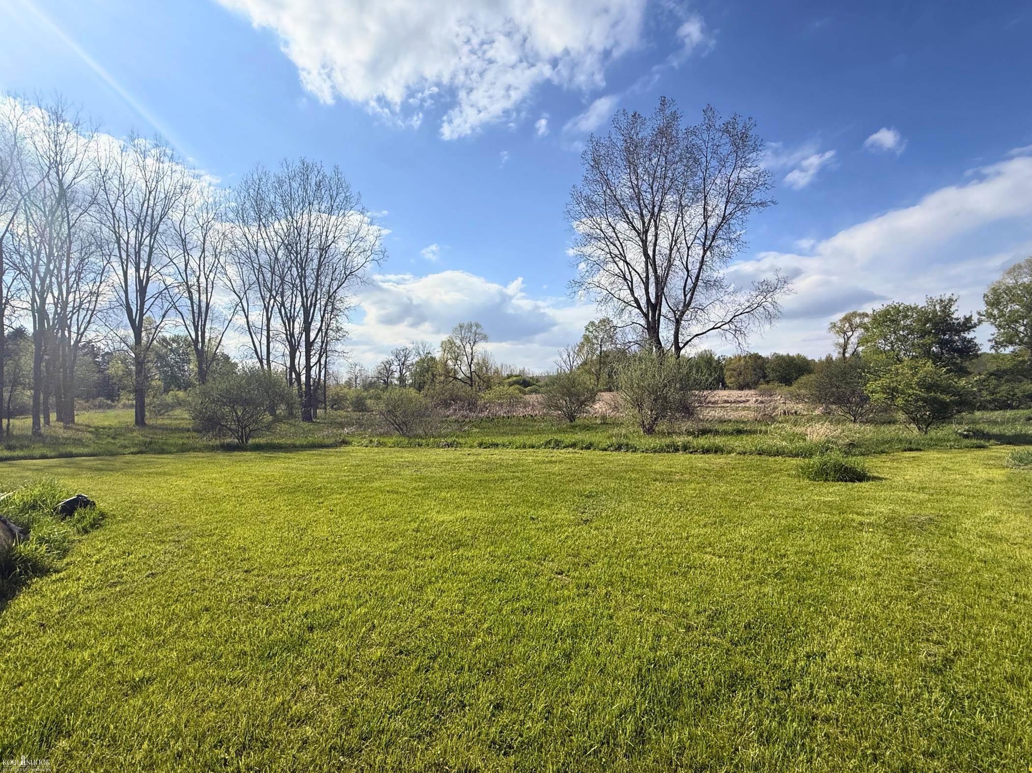 Vacant Land Tyrrell Road Owosso, MI 48867 - Photo 5 of 12
