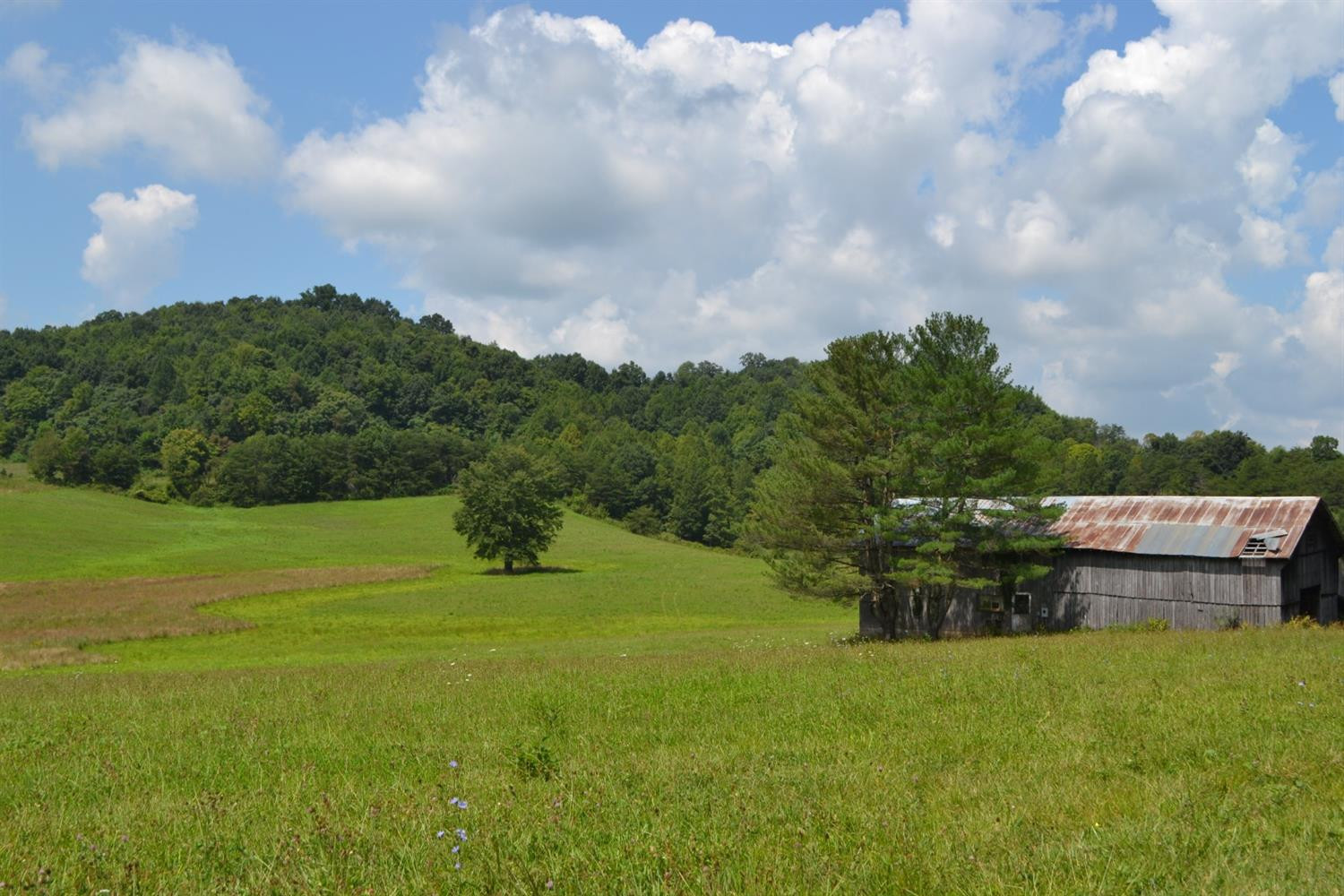 111 Barbourville Road London, KY 40744 - Photo 10 of 15 Listing Photo