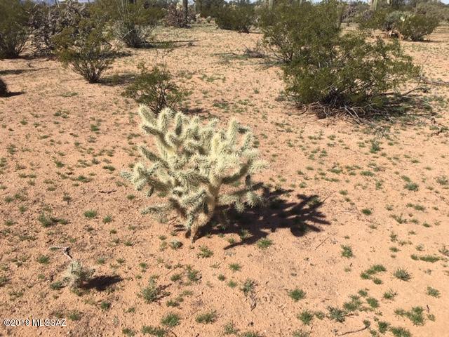12950 West Fort Lowell Road Tucson, AZ 85743 - Photo 5 of 20