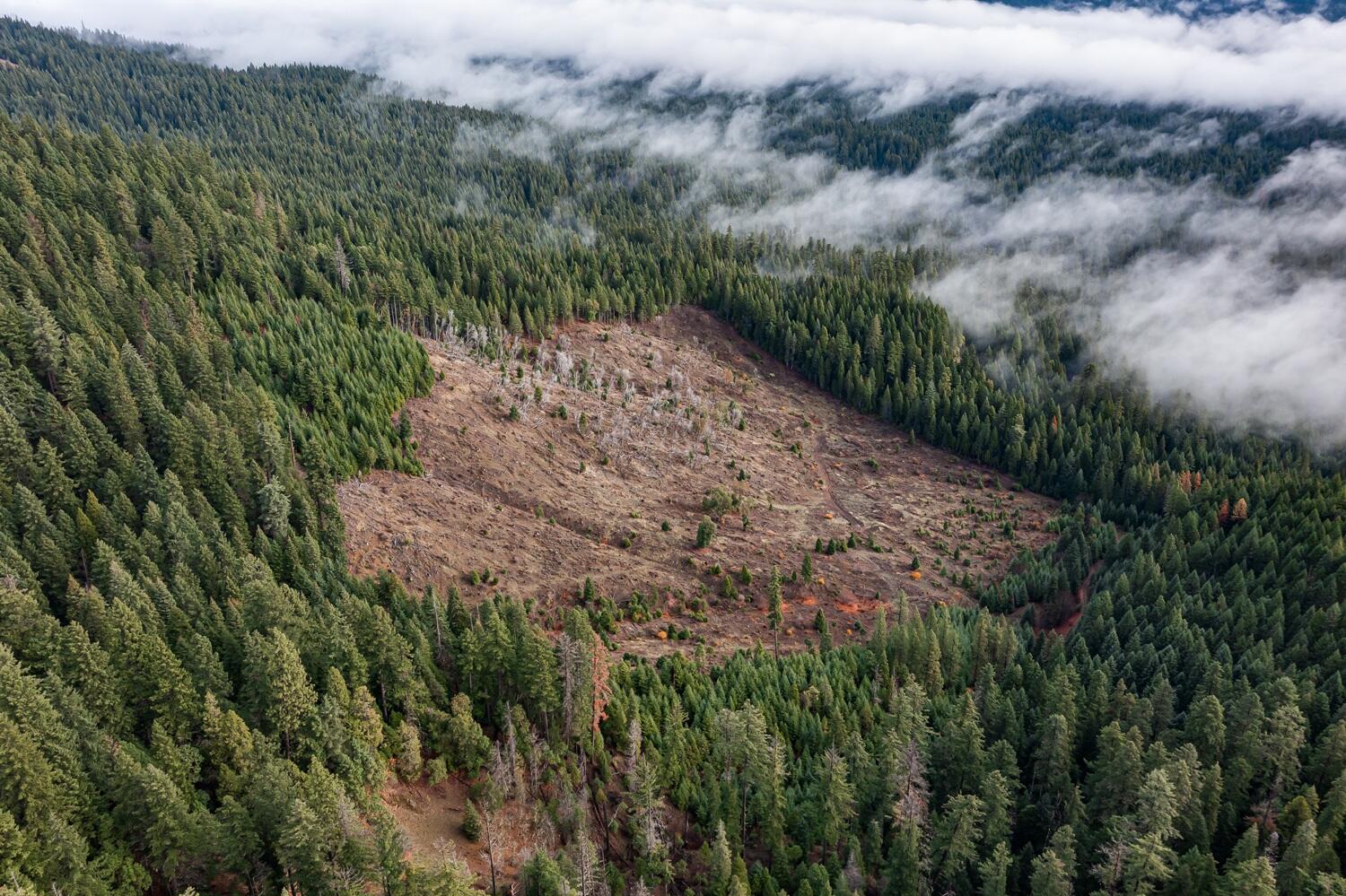 River Road Trail, OR 97541 - Photo 4 of 20 DJI_0907HDR27