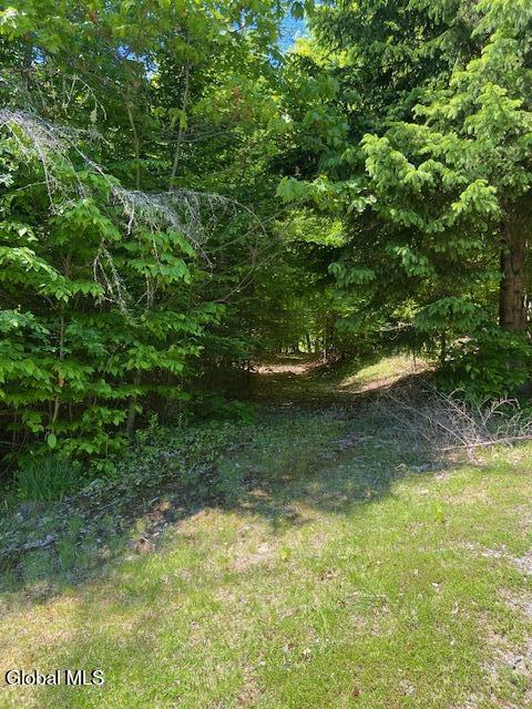 55 Fodder Road Stony Creek, NY 12878 - Photo 6 of 13 Back of property from ROW