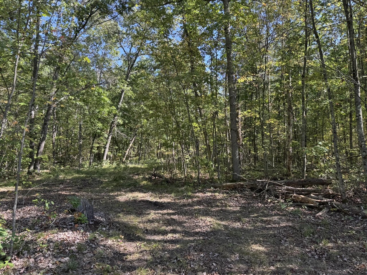 East County Line Road Manistee, MI 49660 - Photo 22 of 32