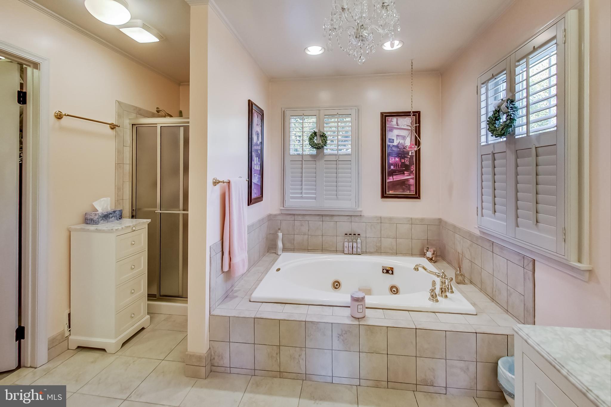 4089 Sharp Road Glenelg, MD 21737 - Photo 34 of 76 Jacuzzi tub in primary bath