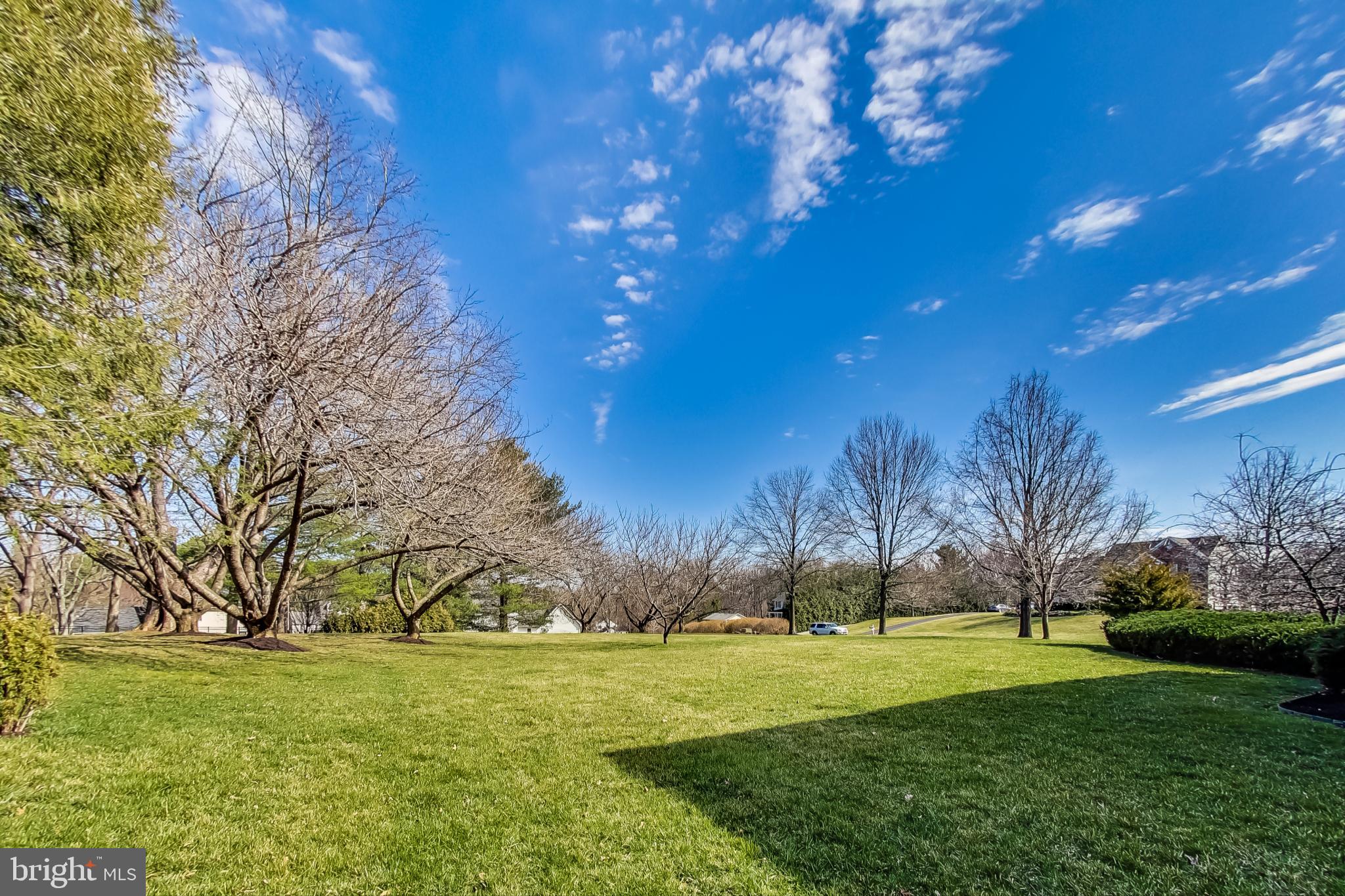 4089 Sharp Road Glenelg, MD 21737 - Photo 59 of 76 Side Yard