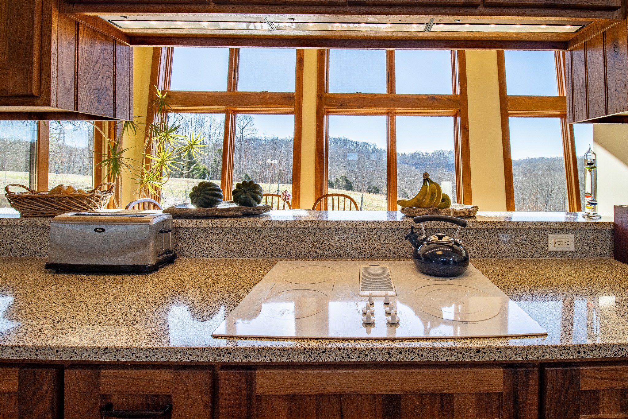 2016 Valley View Road Joelton, TN 37080 - Photo 19 of 60