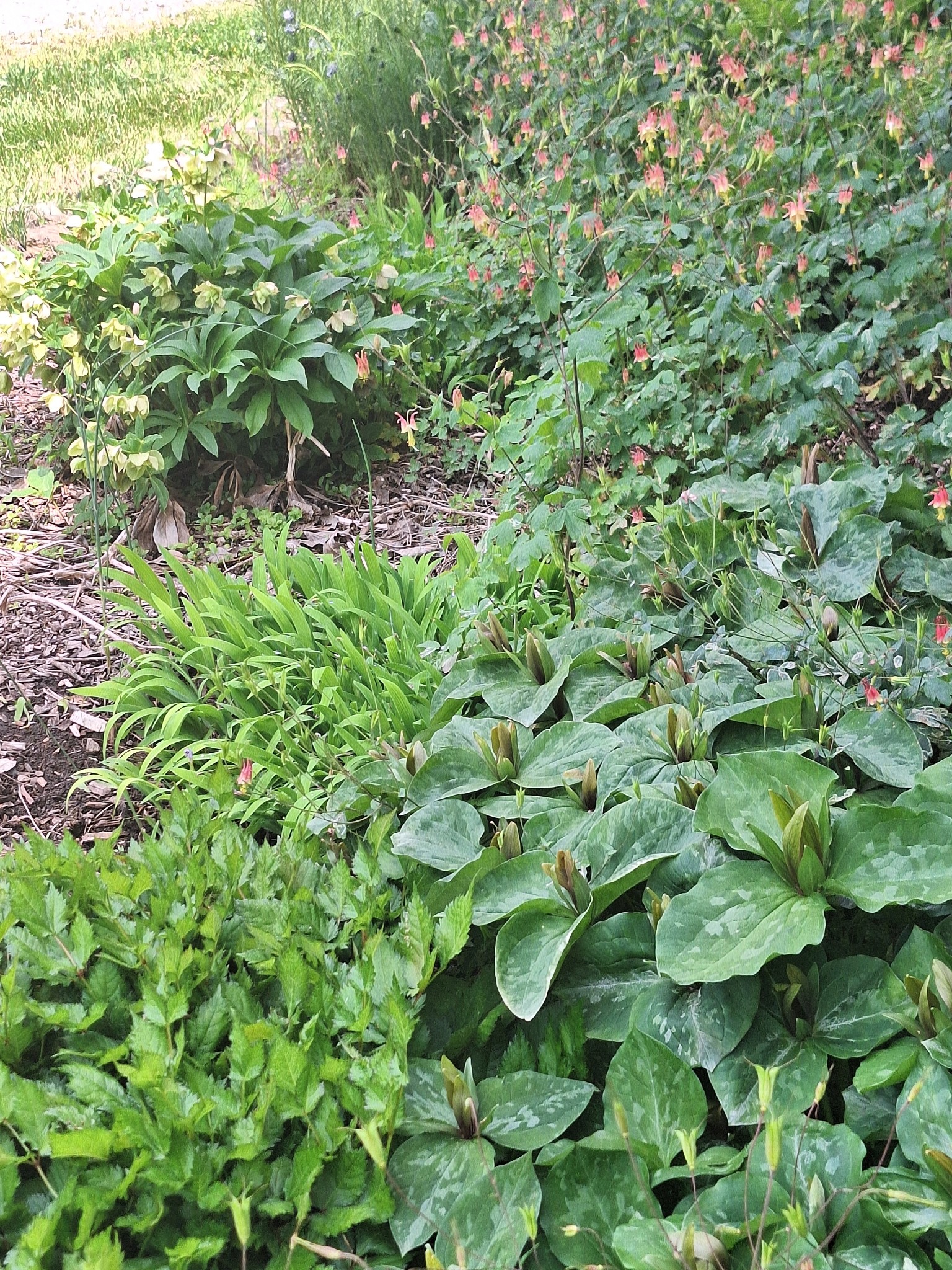 2016 Valley View Road Joelton, TN 37080 - Photo 62 of 65