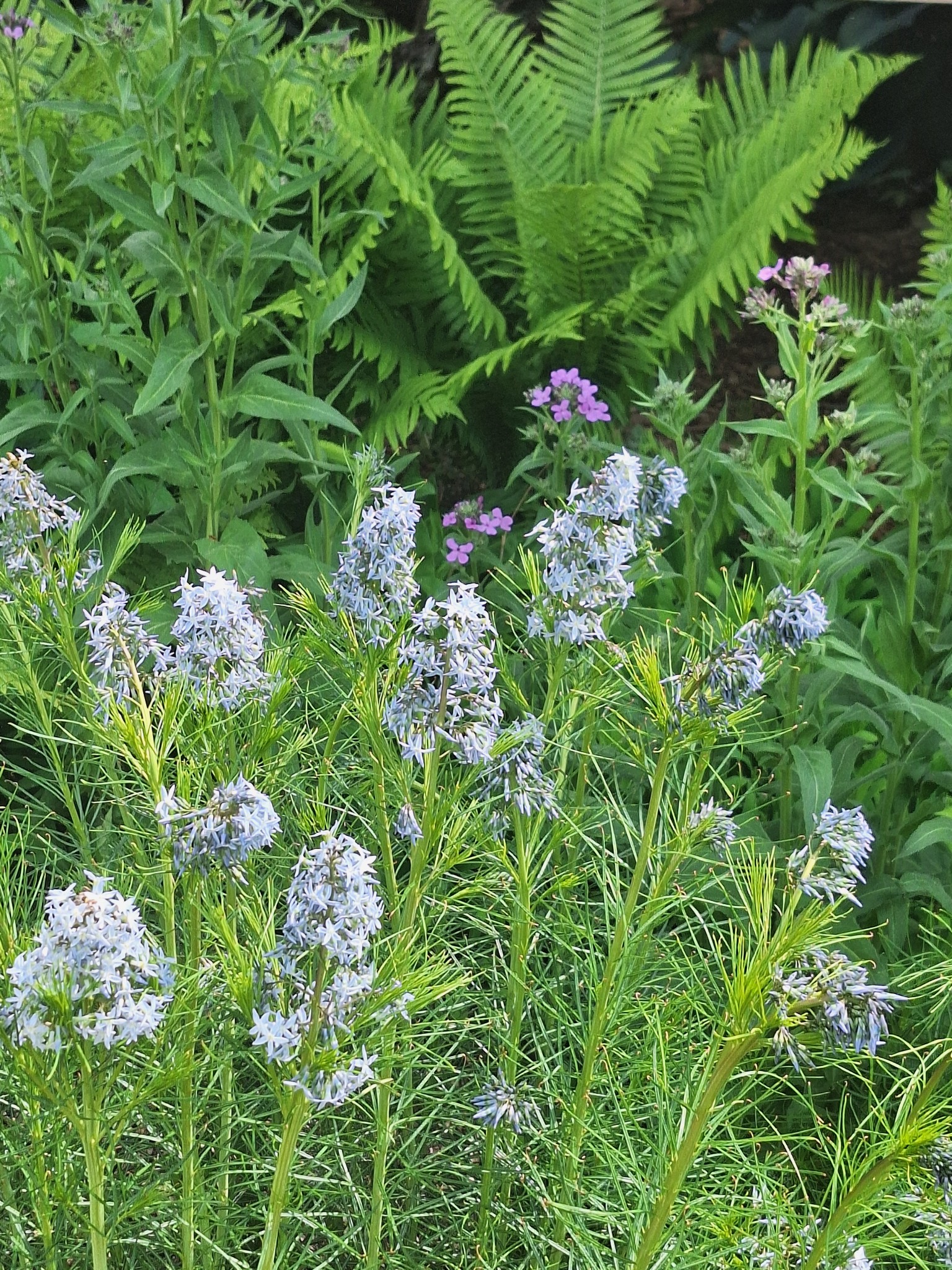 2016 Valley View Road Joelton, TN 37080 - Photo 63 of 65