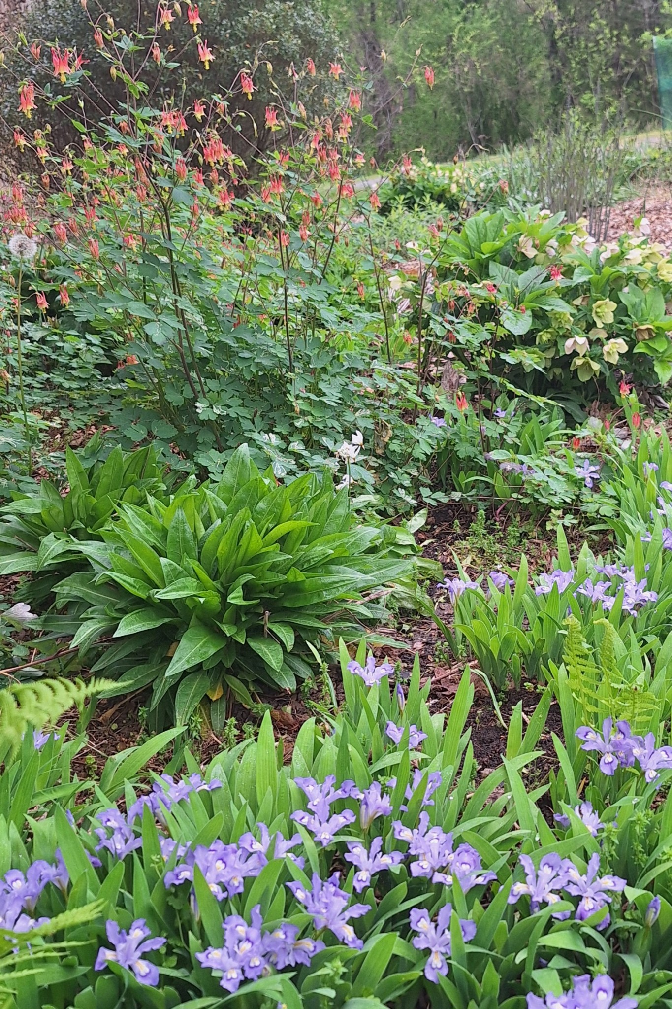 2016 Valley View Road Joelton, TN 37080 - Photo 64 of 65