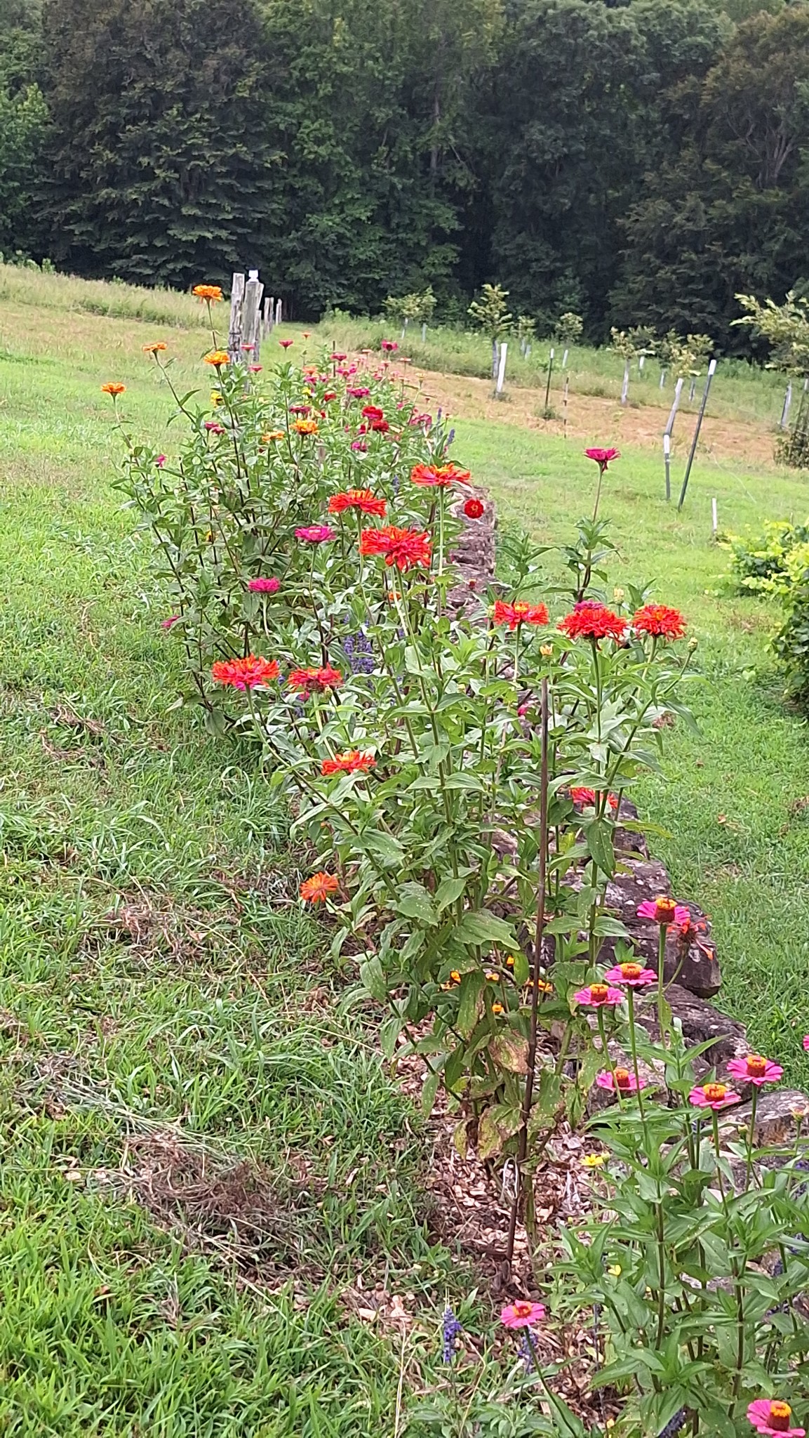 2016 Valley View Road Joelton, TN 37080 - Photo 65 of 65