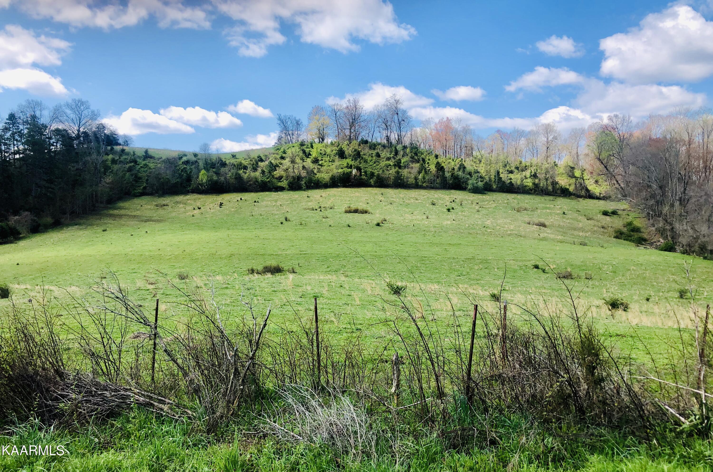 Cox Road New Tazewell, TN 37825 - Photo 1 of 5 IMG_1058