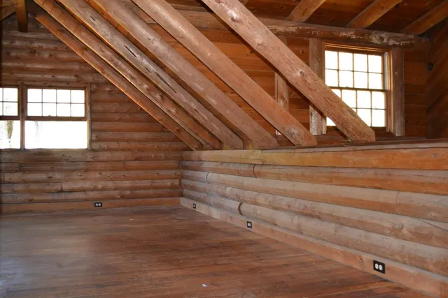 a view of a yard with a tree