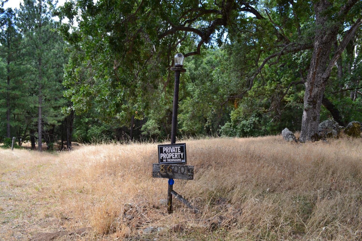 8600 Lodestone Road Somerset, CA 95684 - Photo 22 of 63 a backyard of a house with lots of green space