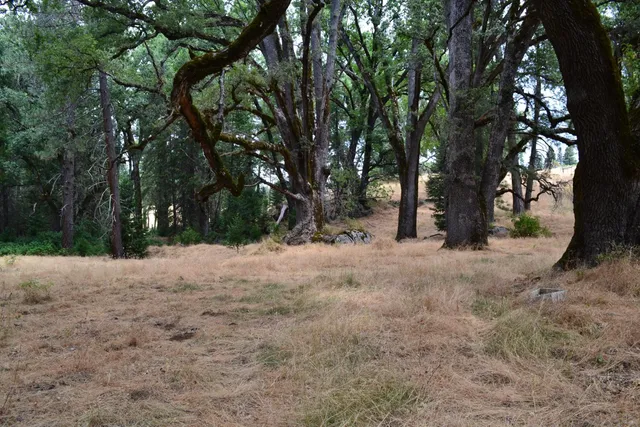 a view of a lake with a yard