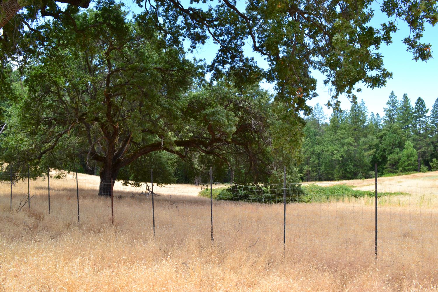 8600 Lodestone Road Somerset, CA 95684 - Photo 29 of 63 a view of outdoor space
