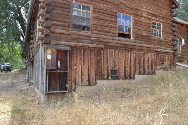 a view of a forest with trees in the background
