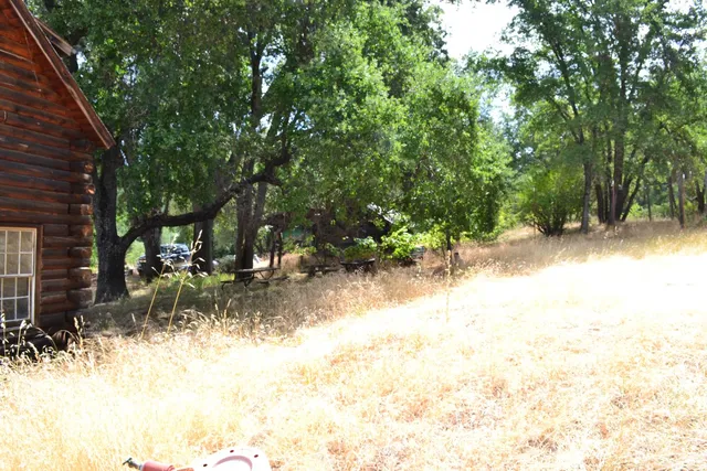 a view of outdoor space with trees