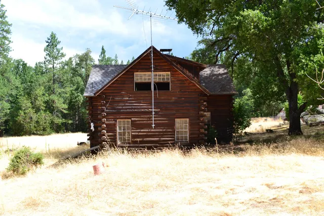 a view of backyard with a tree
