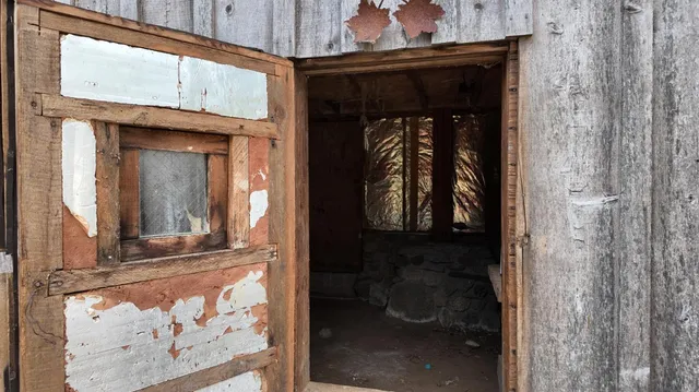 a couple of potted plants in front of door