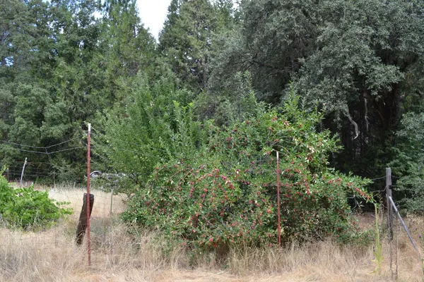 $339,000 | 8600 Lodestone Road, Somerset, CA 95684