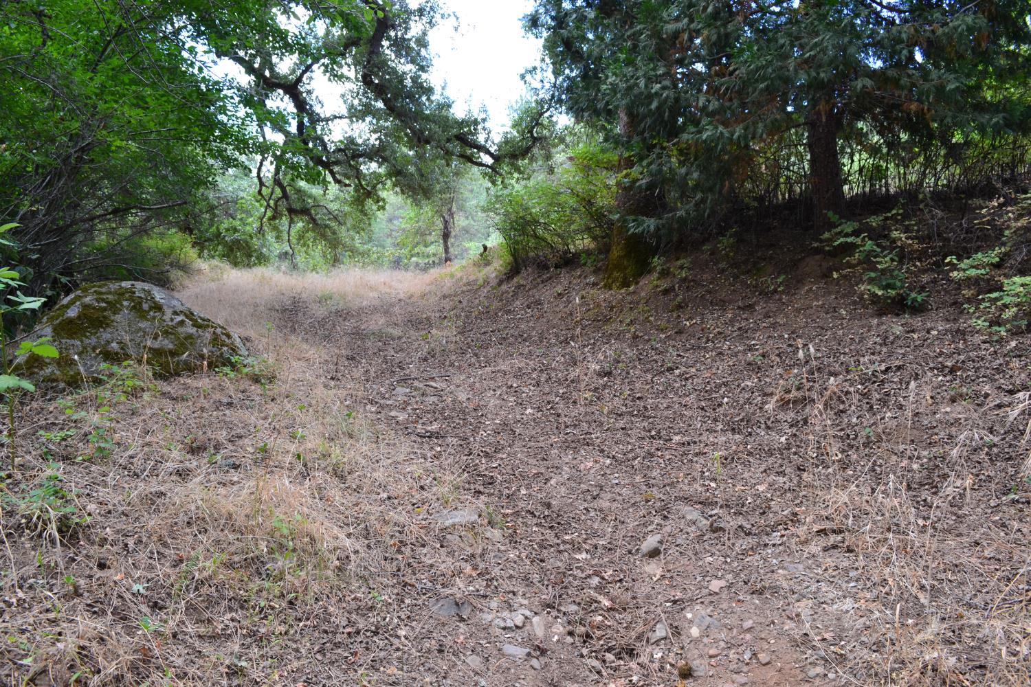 8600 Lodestone Road Somerset, CA 95684 - Photo 55 of 63 a view of a forest with trees in the background