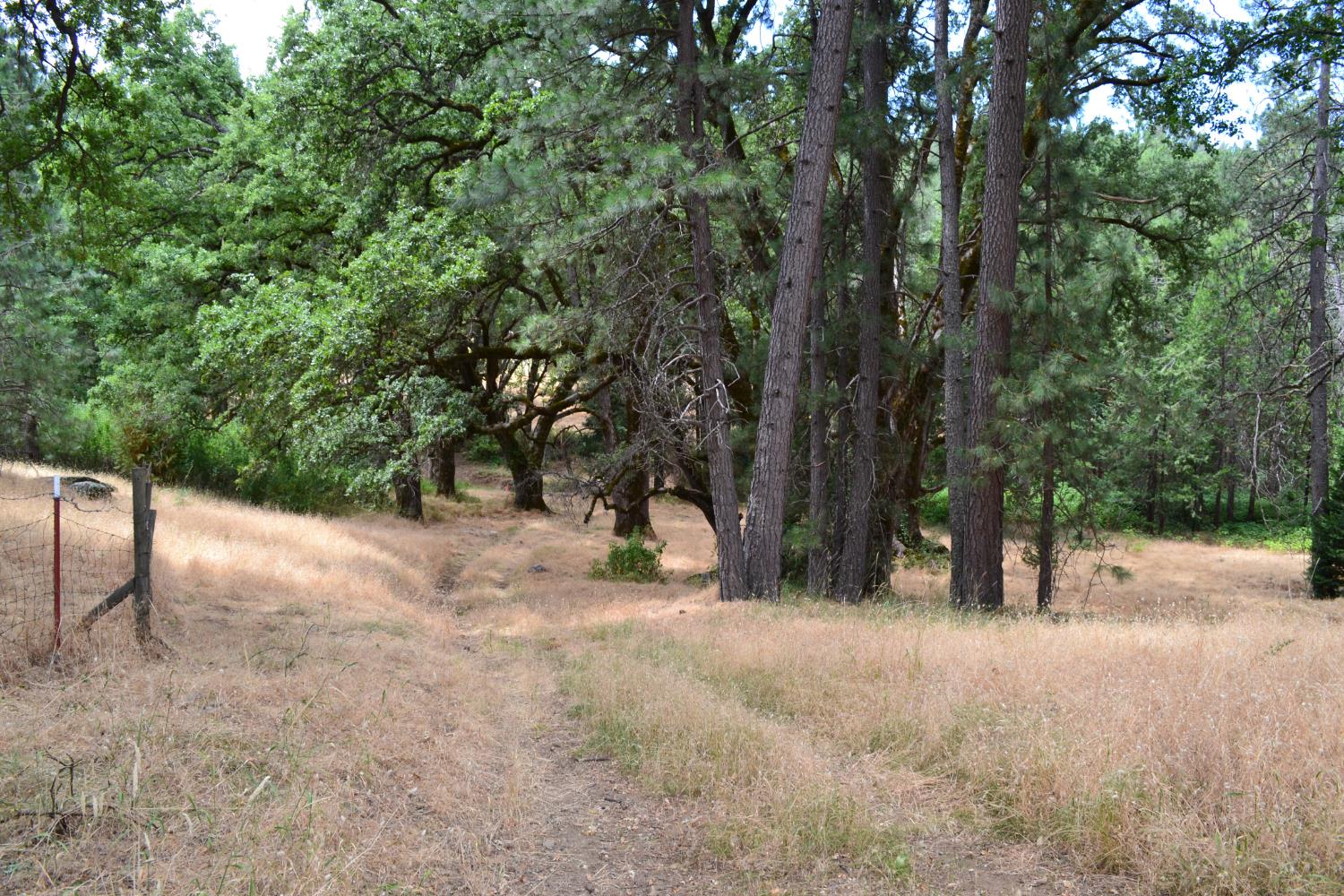 8600 Lodestone Road Somerset, CA 95684 - Photo 57 of 63 a view of outdoor space with trees