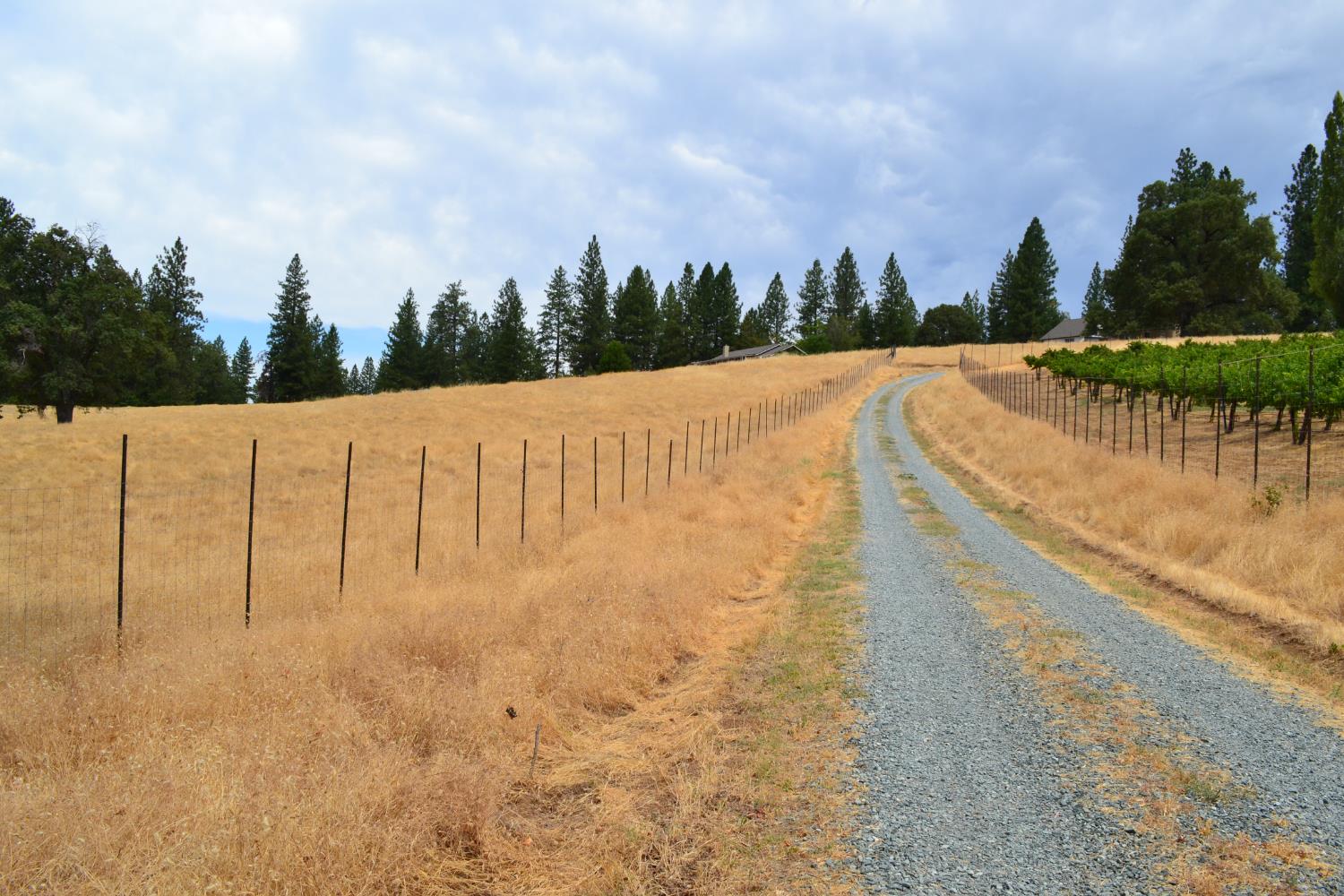 8600 Lodestone Road Somerset, CA 95684 - Photo 60 of 63 a view of a lake with a big yard