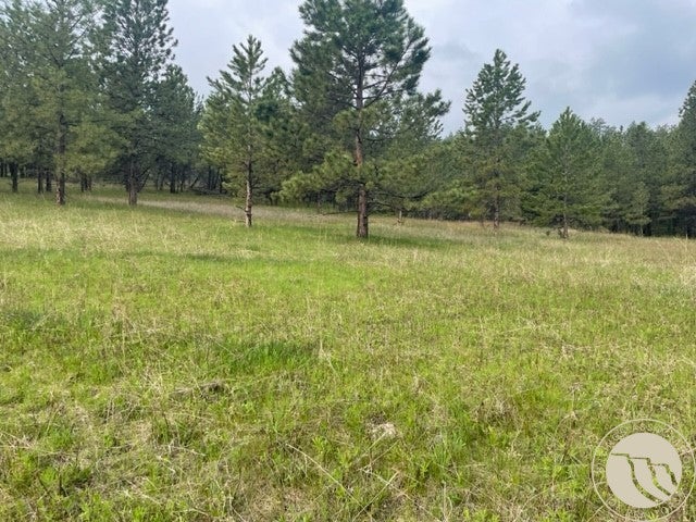 Lot 17 Skibstad Road Road Columbus, MT 59019 - Photo 11 of 28 Gallery Image 11