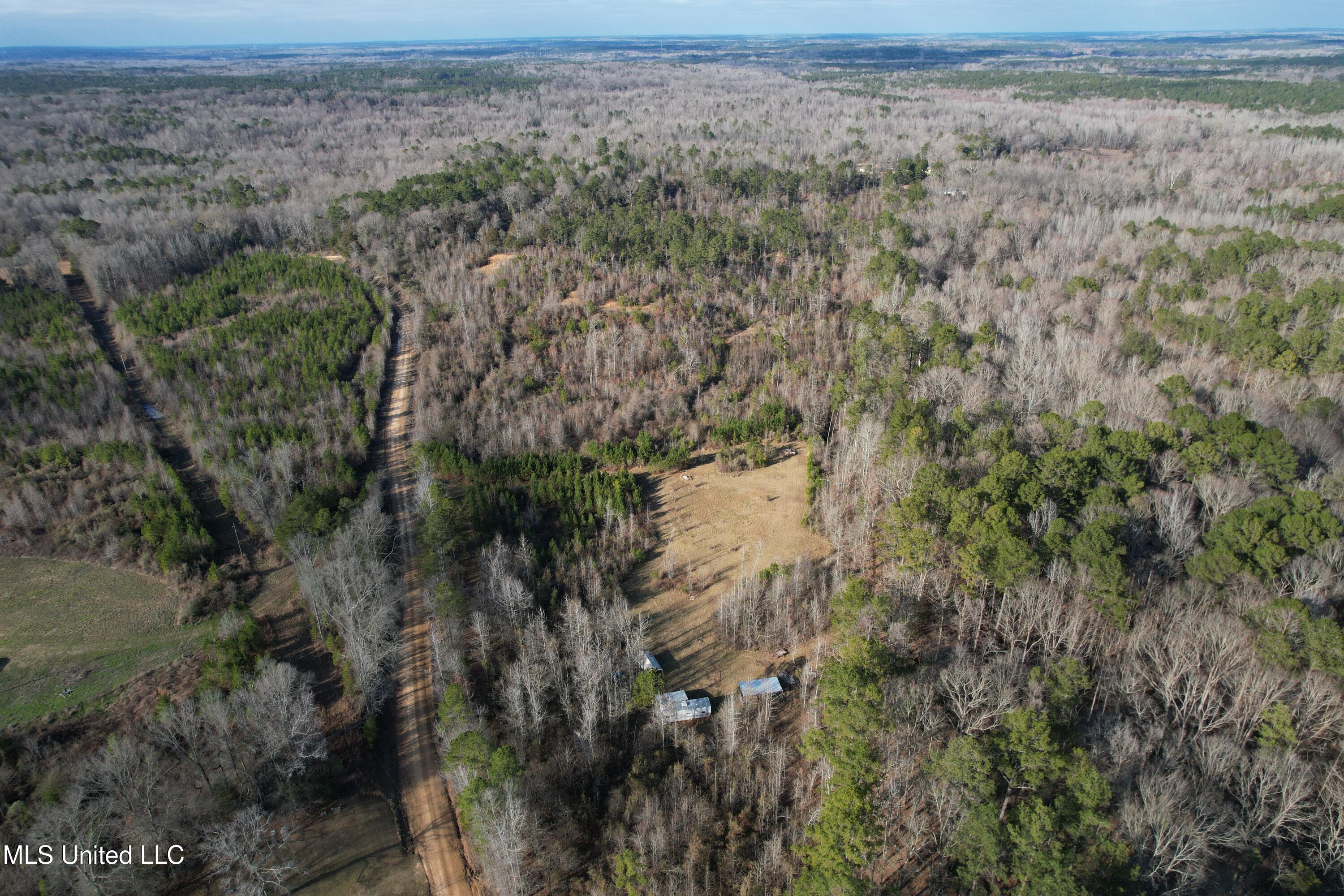 8076 Franklin Cut-off Road Durant, MS 39063 - Photo 1 of 28 DJI_0545