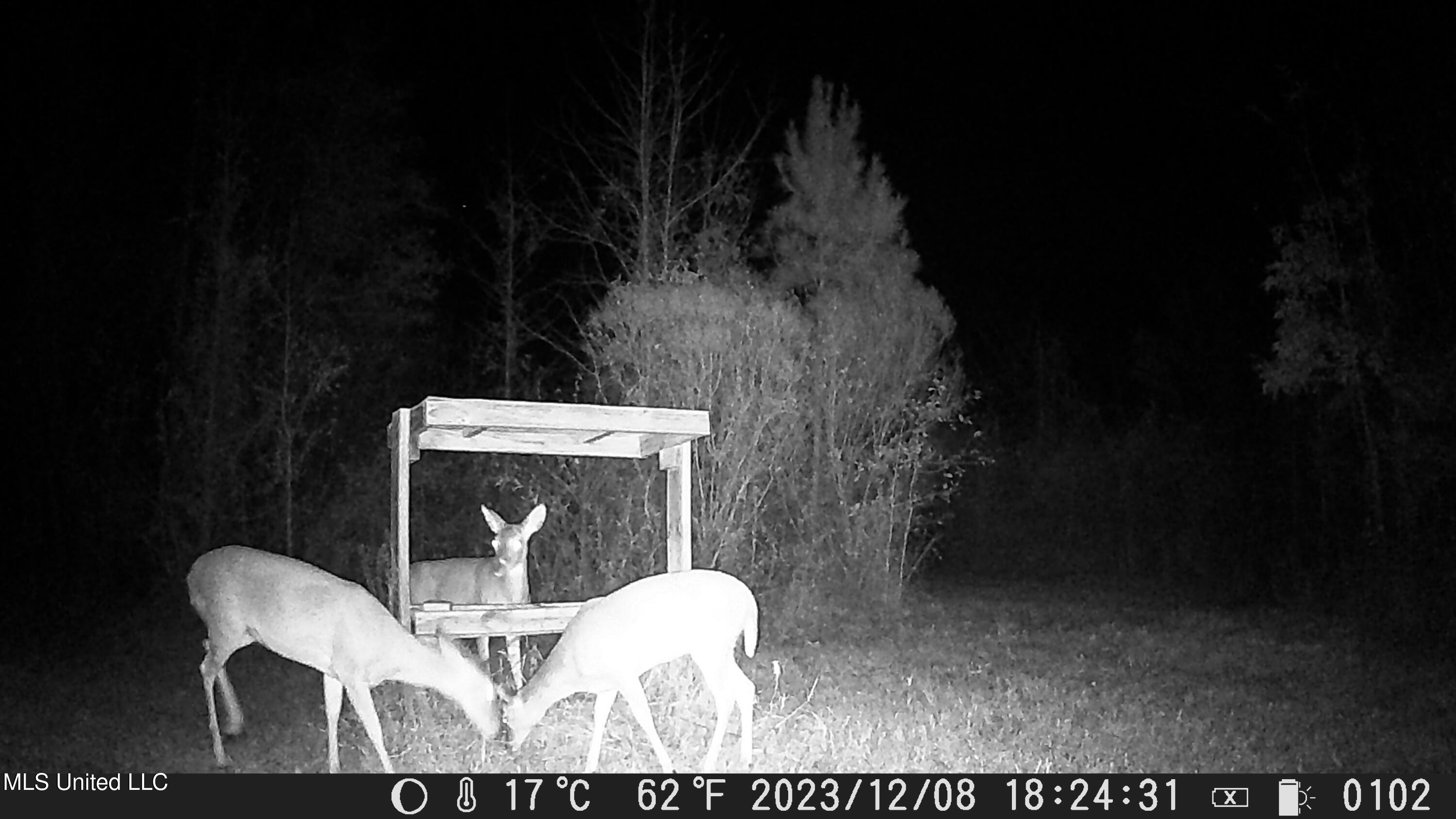 8076 Franklin Cut-off Road Durant, MS 39063 - Photo 11 of 28 DSCF0102