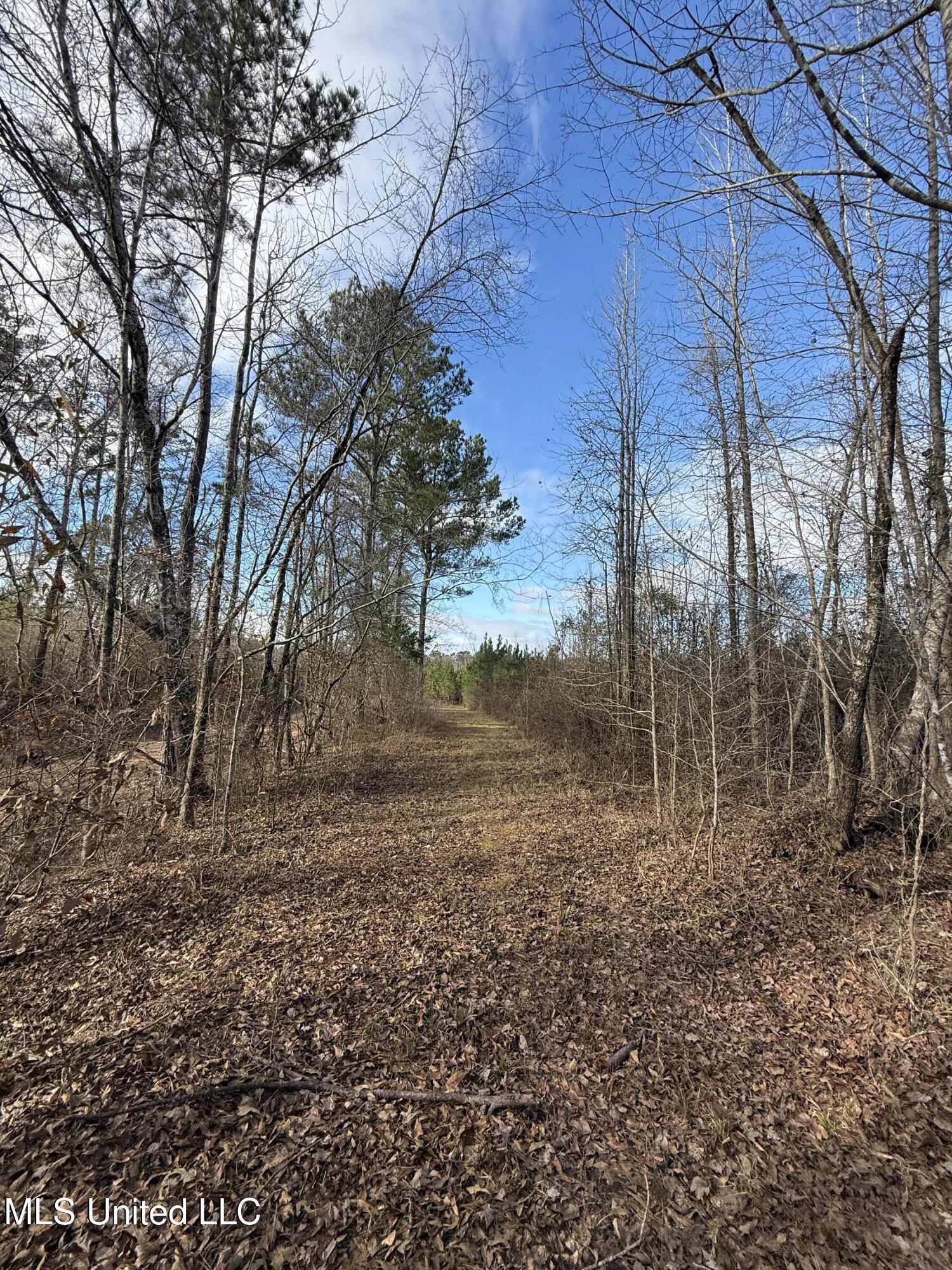 8076 Franklin Cut-off Road Durant, MS 39063 - Photo 14 of 28 IMG_0699