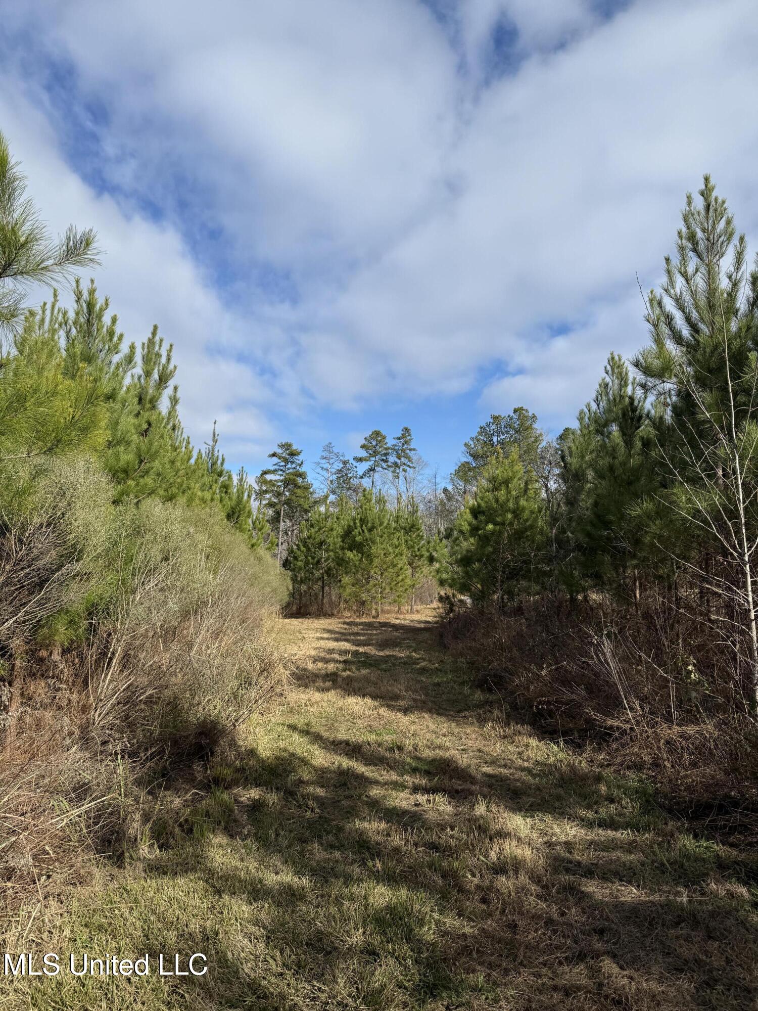 8076 Franklin Cut-off Road Durant, MS 39063 - Photo 15 of 28 IMG_0676