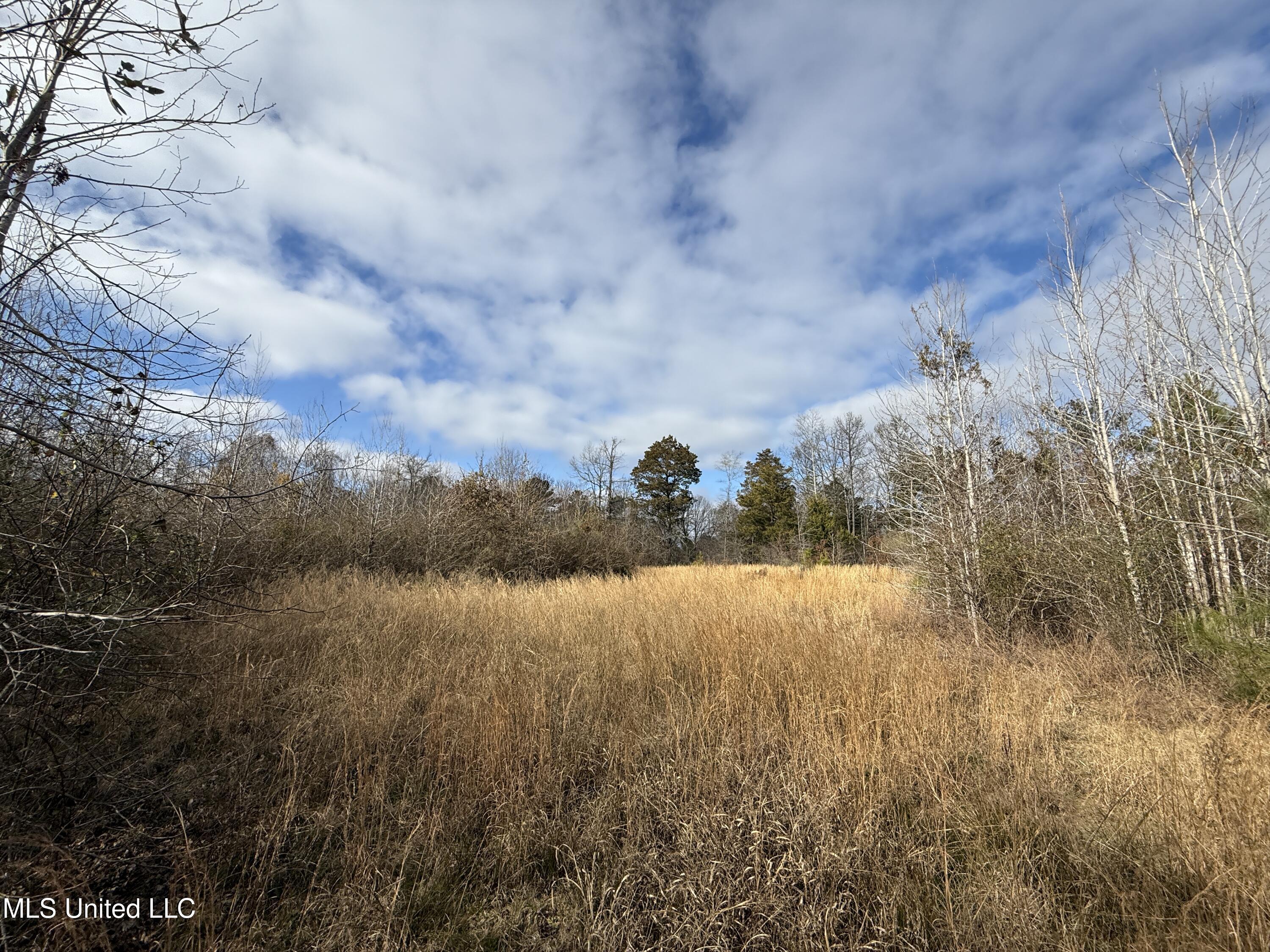 8076 Franklin Cut-off Road Durant, MS 39063 - Photo 19 of 28 IMG_0680
