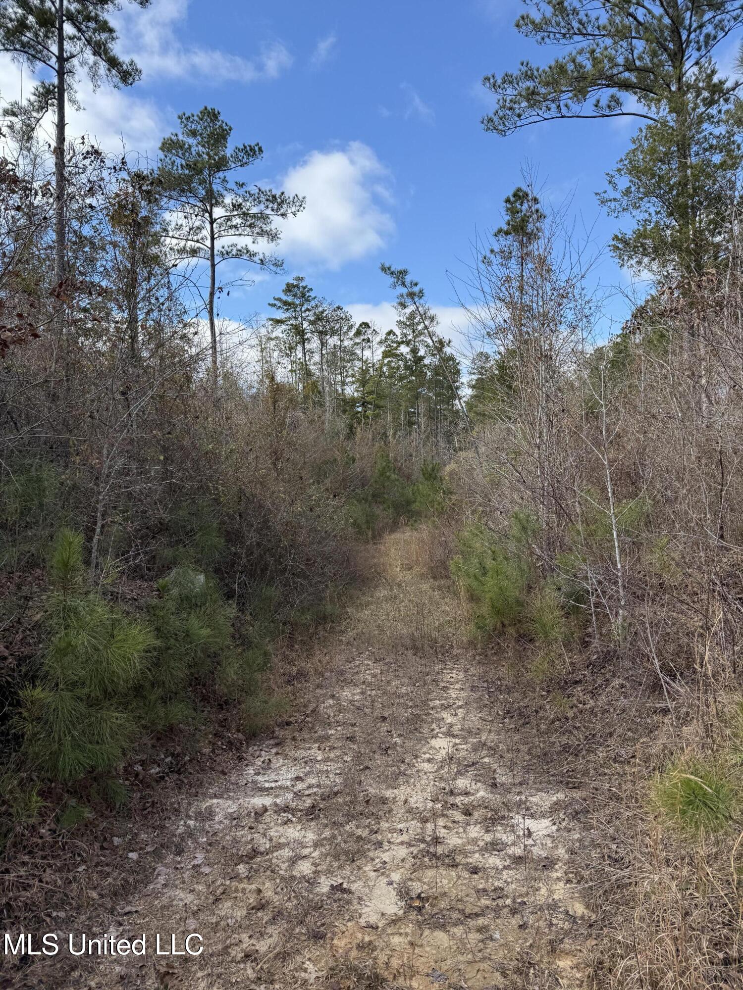 8076 Franklin Cut-off Road Durant, MS 39063 - Photo 20 of 28 IMG_0682