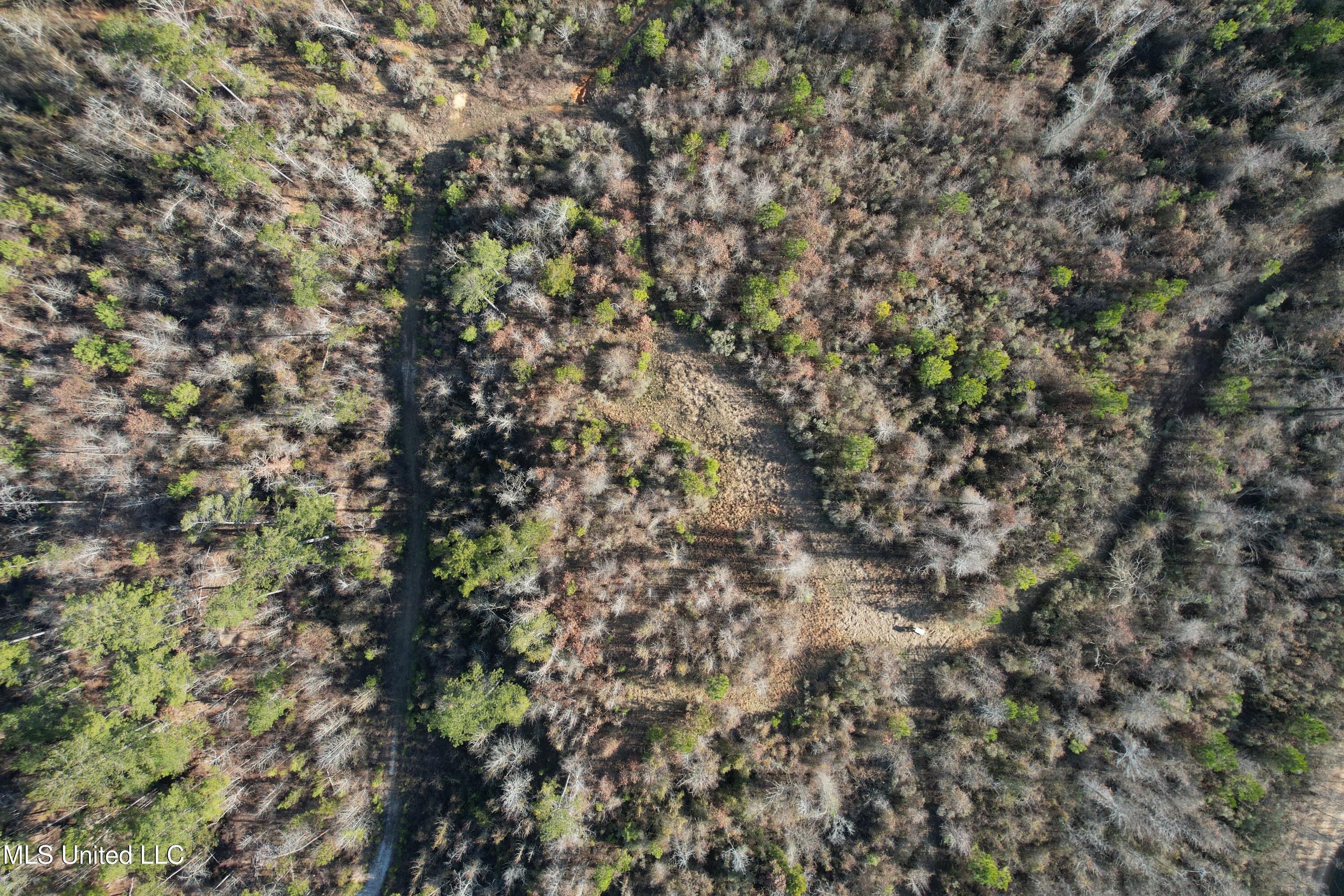 8076 Franklin Cut-off Road Durant, MS 39063 - Photo 2 of 28 DJI_0547