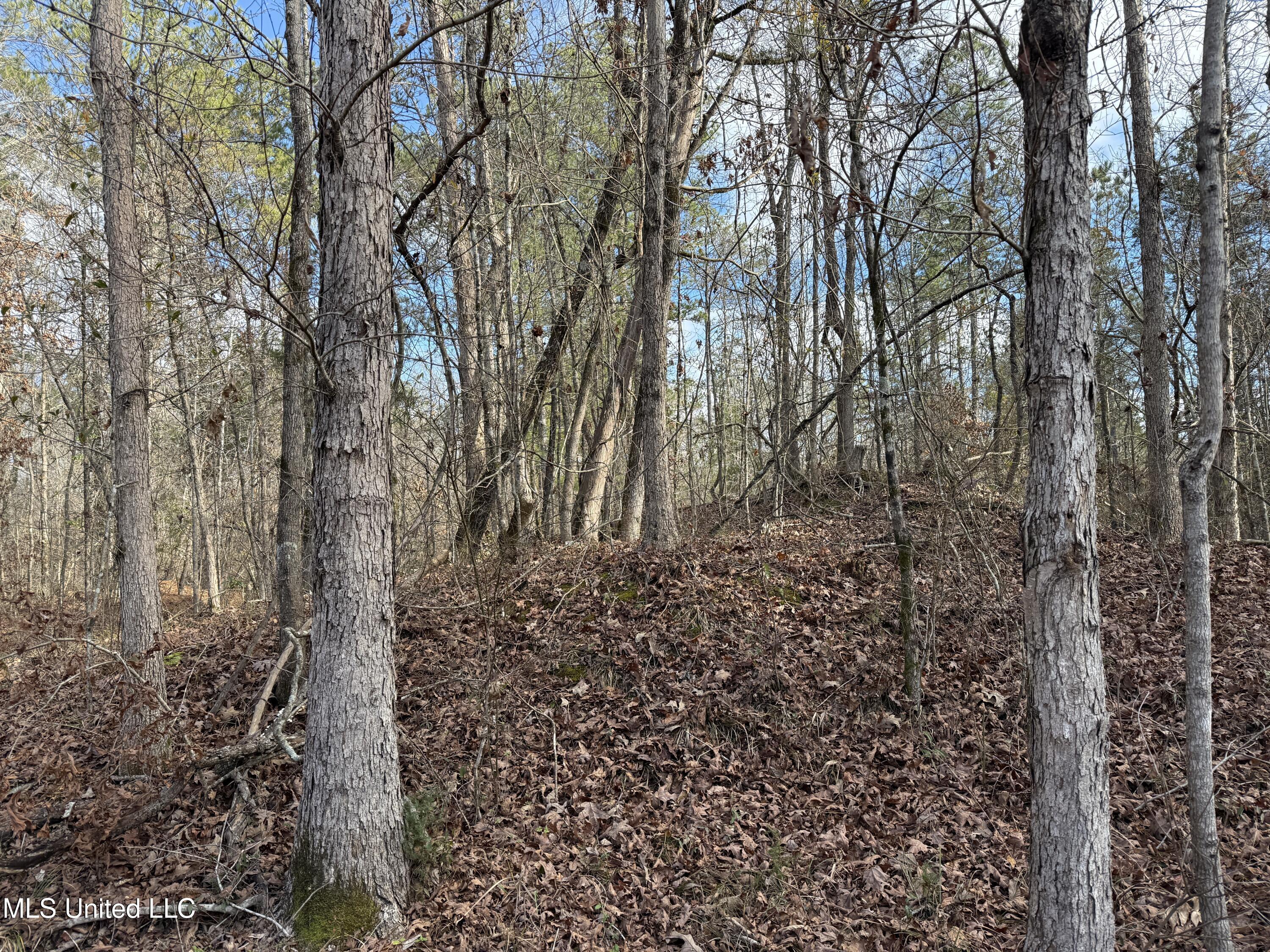 8076 Franklin Cut-off Road Durant, MS 39063 - Photo 21 of 28 IMG_0685