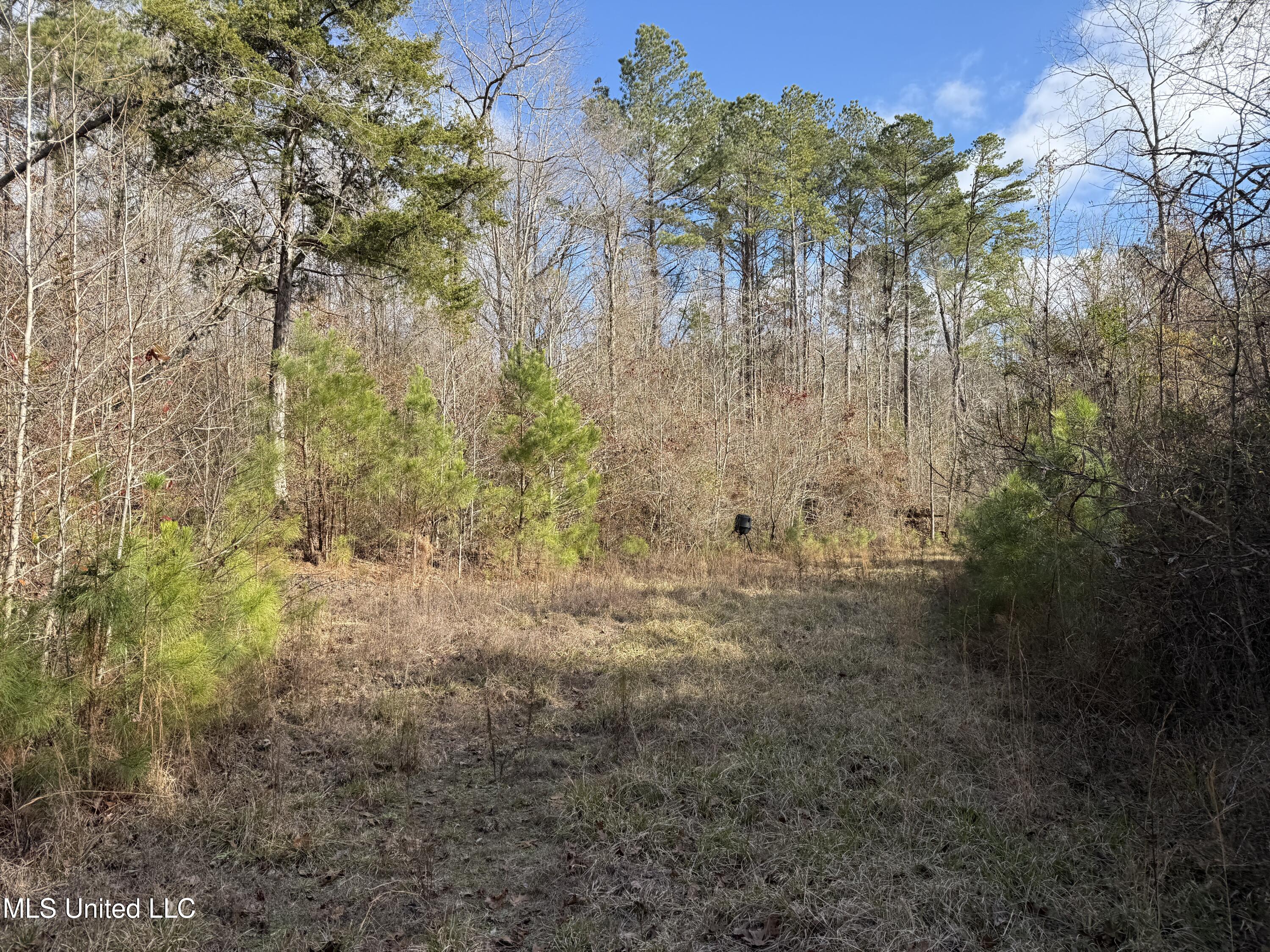 8076 Franklin Cut-off Road Durant, MS 39063 - Photo 22 of 28 IMG_0688