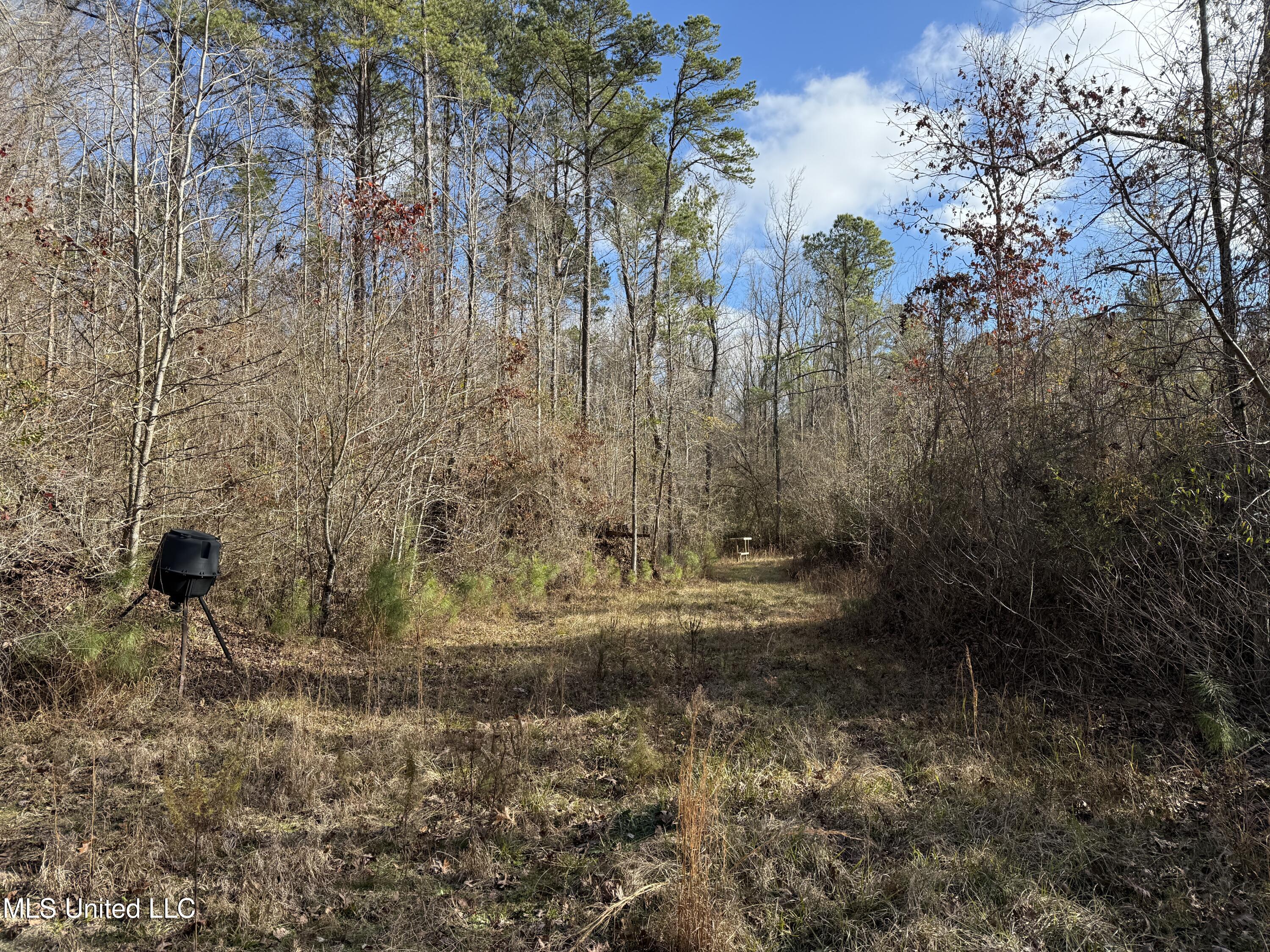 8076 Franklin Cut-off Road Durant, MS 39063 - Photo 23 of 28 IMG_0689