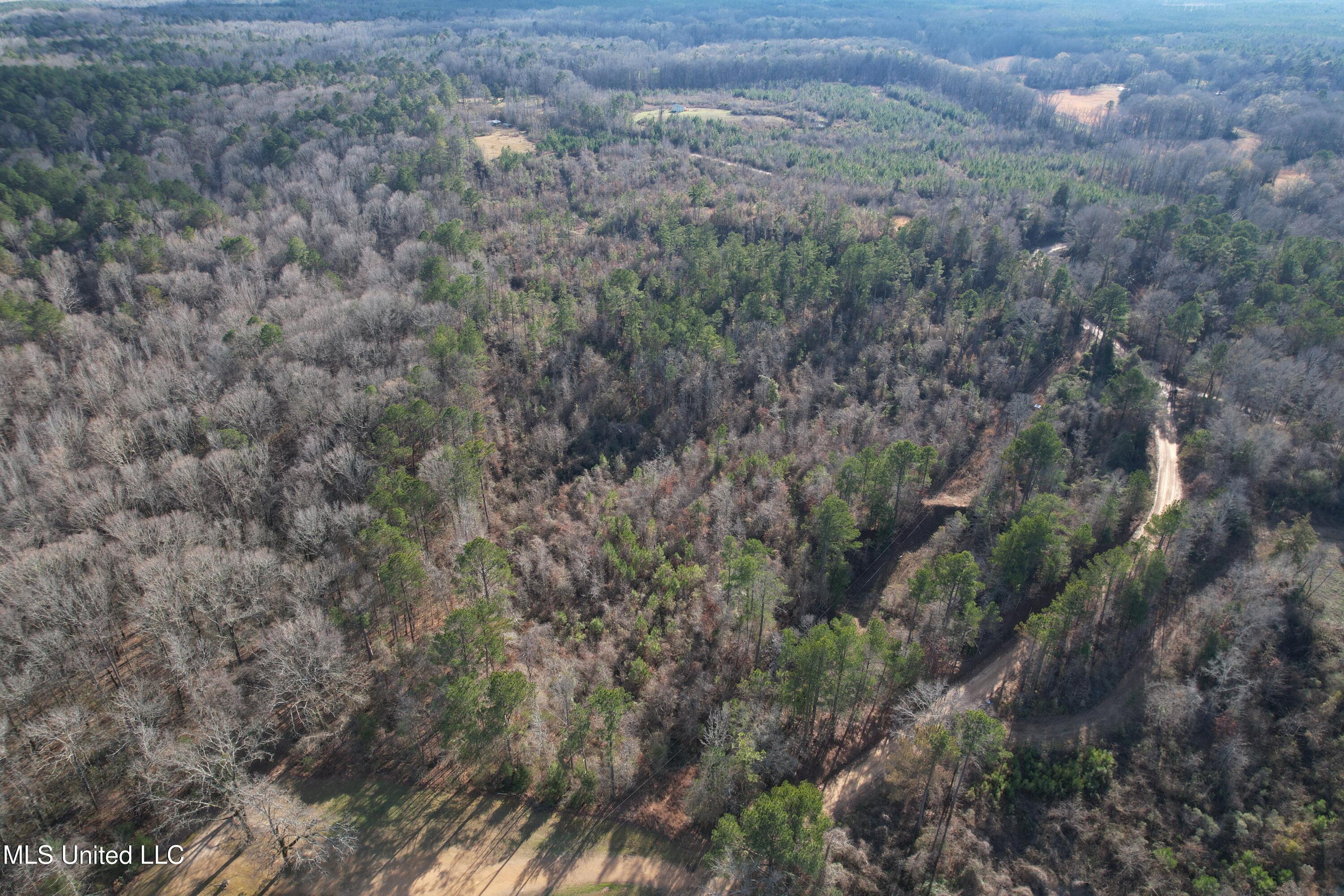 8076 Franklin Cut-off Road Durant, MS 39063 - Photo 3 of 28 DJI_0548
