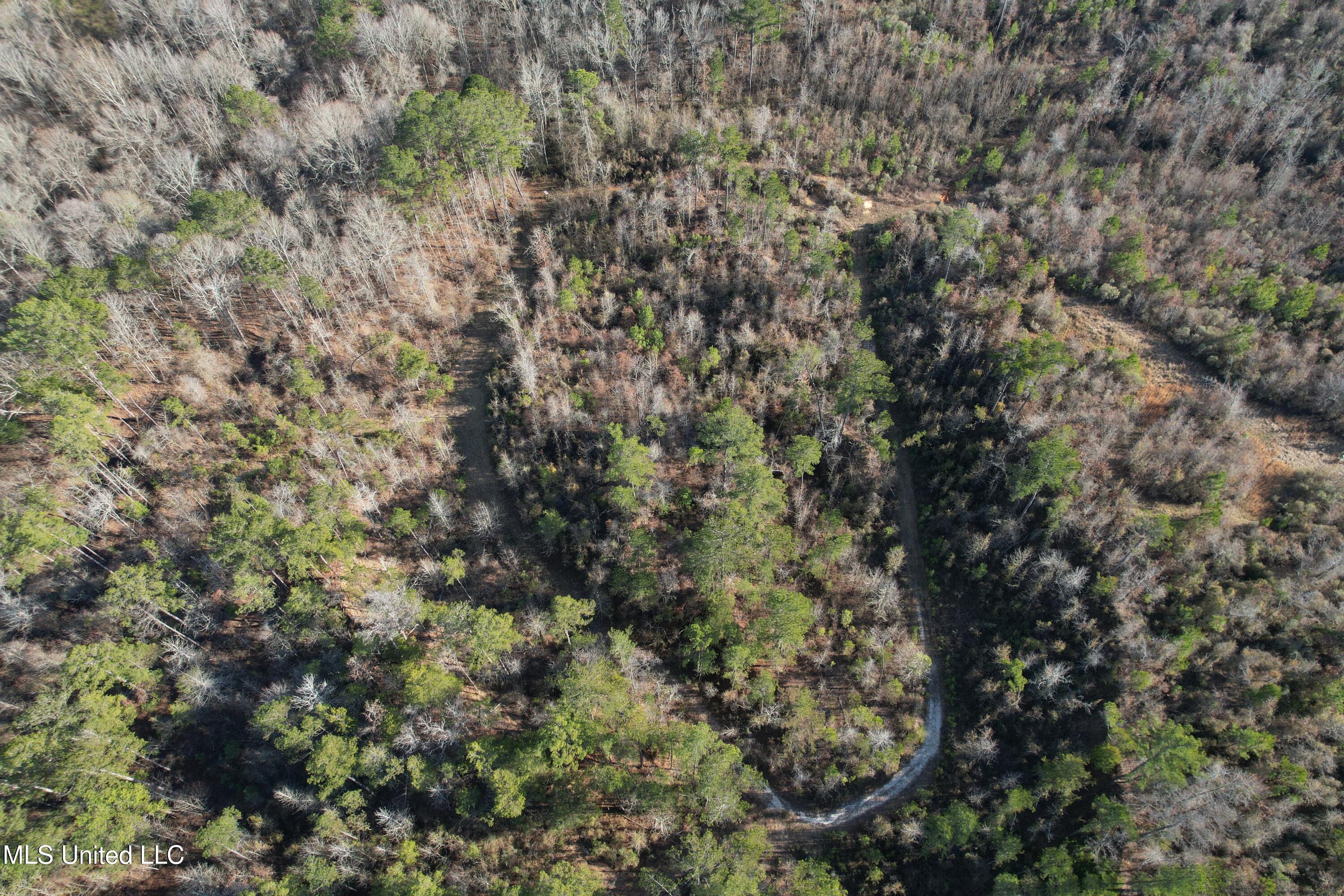 8076 Franklin Cut-off Road Durant, MS 39063 - Photo 4 of 28 DJI_0549