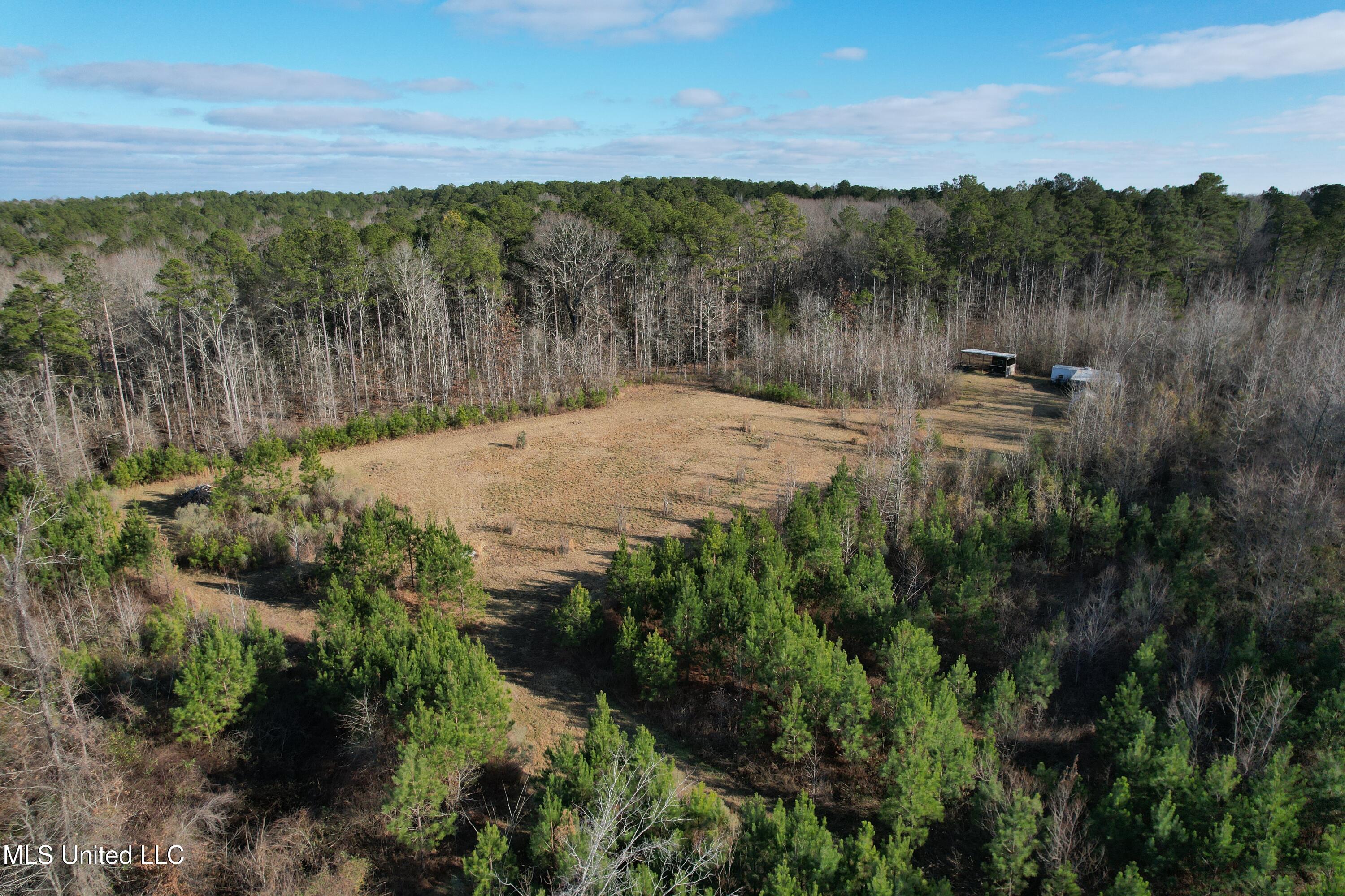 8076 Franklin Cut-off Road Durant, MS 39063 - Photo 5 of 28 DJI_0550
