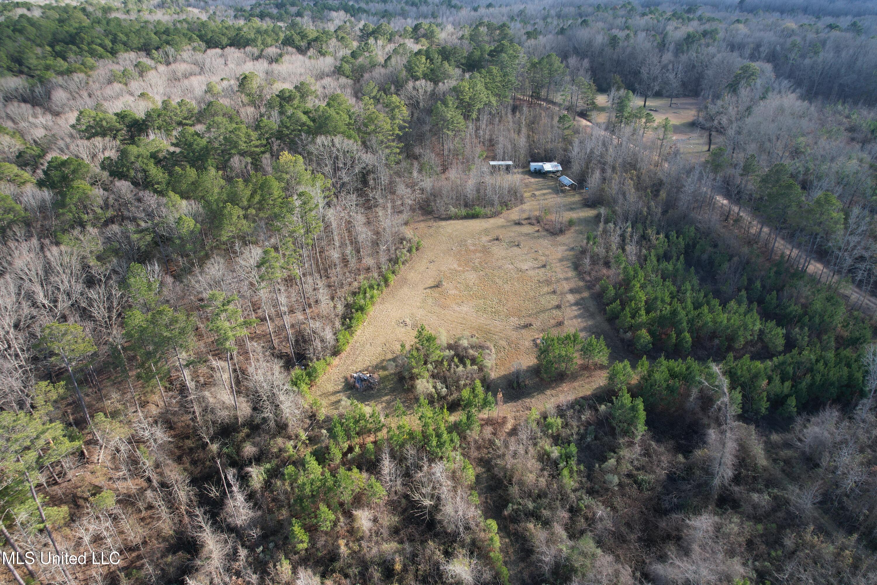 8076 Franklin Cut-off Road Durant, MS 39063 - Photo 6 of 28 DJI_0543