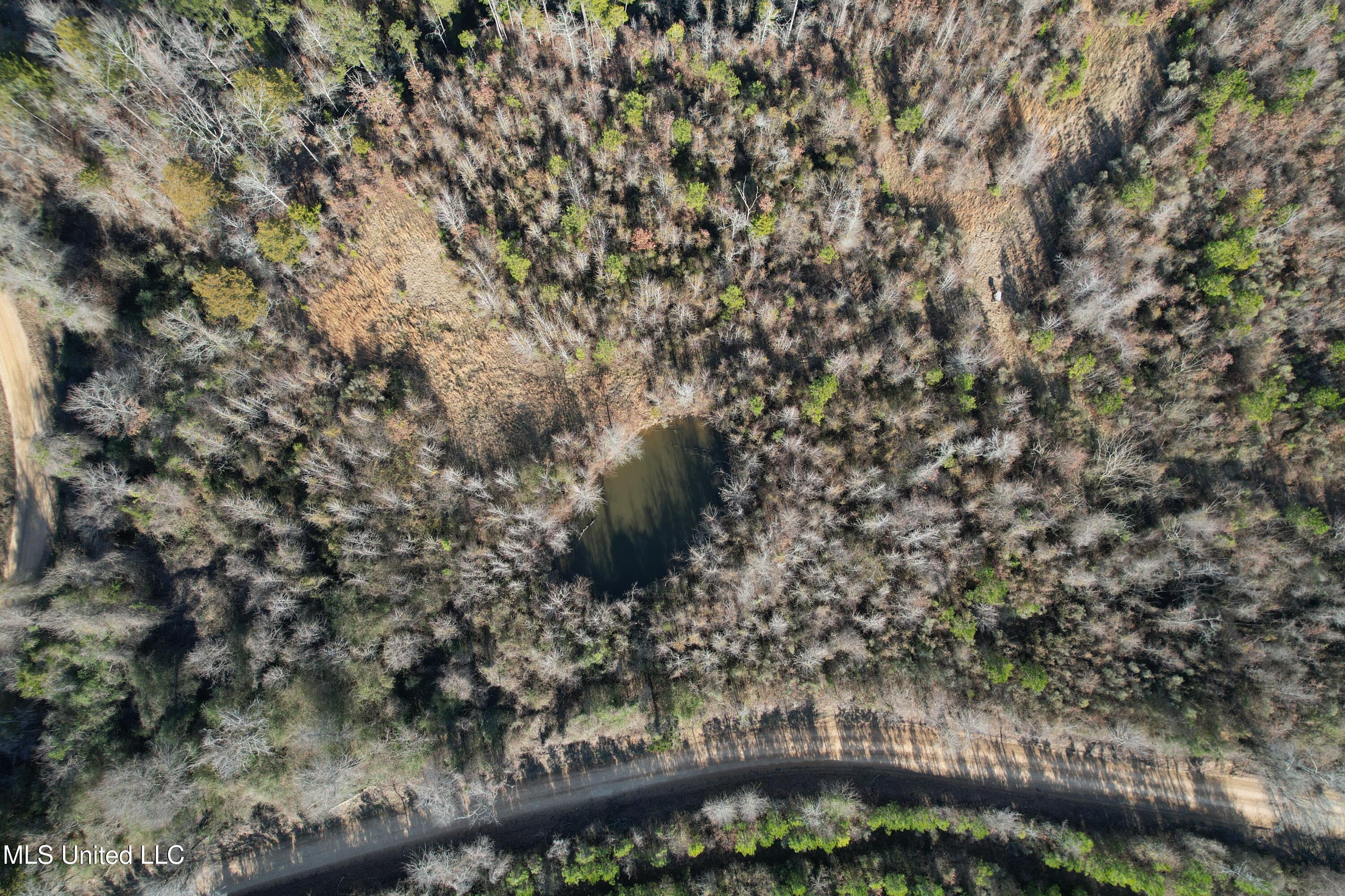8076 Franklin Cut-off Road Durant, MS 39063 - Photo 8 of 28 DJI_0546