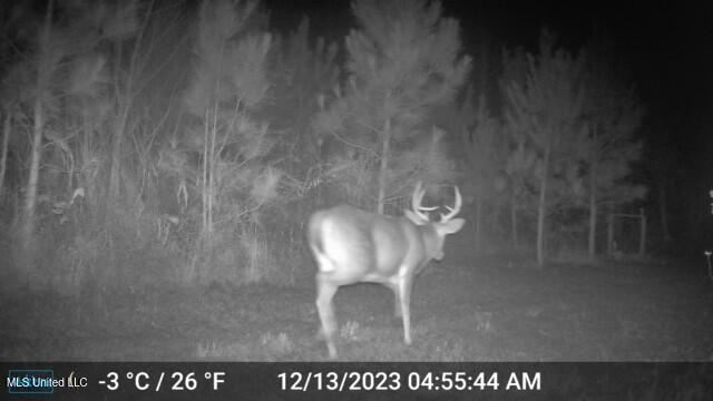 8076 Franklin Cut-off Road Durant, MS 39063 - Photo 10 of 28 860322067782315_20231213045545_21465331_