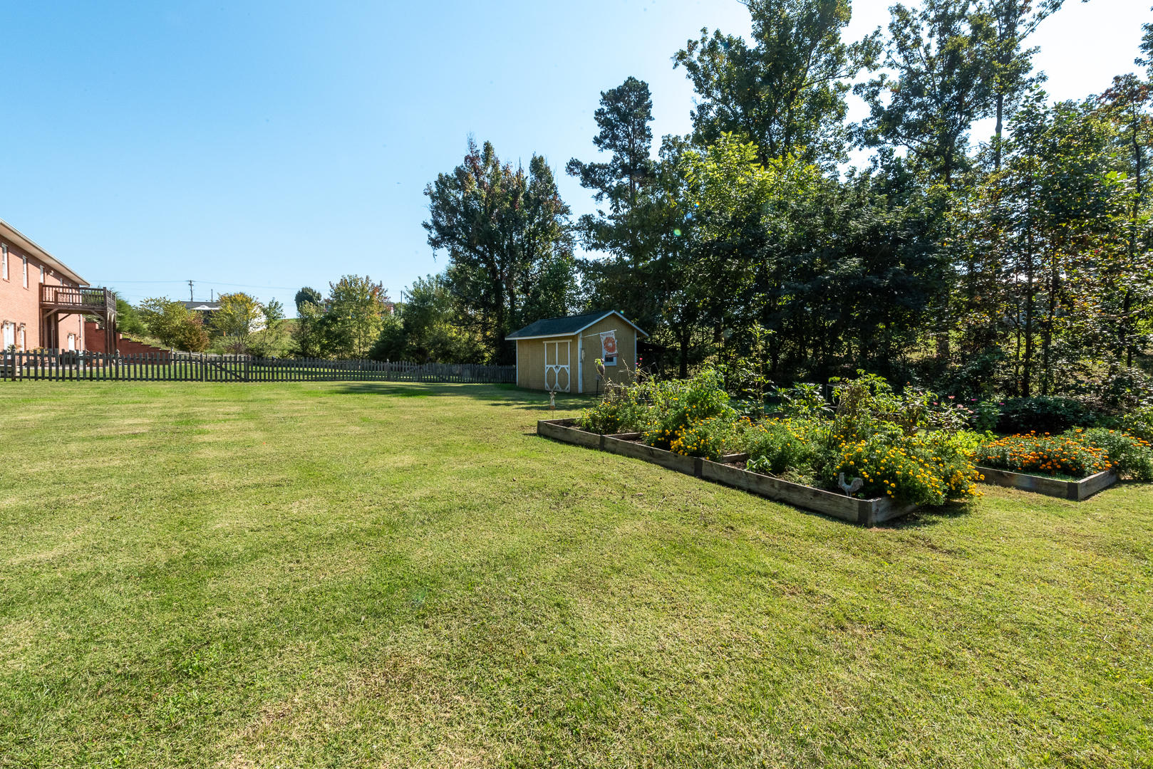 9210 West Emory Road Knoxville, TN 37931 - Photo 7 of 40 DSC_6727